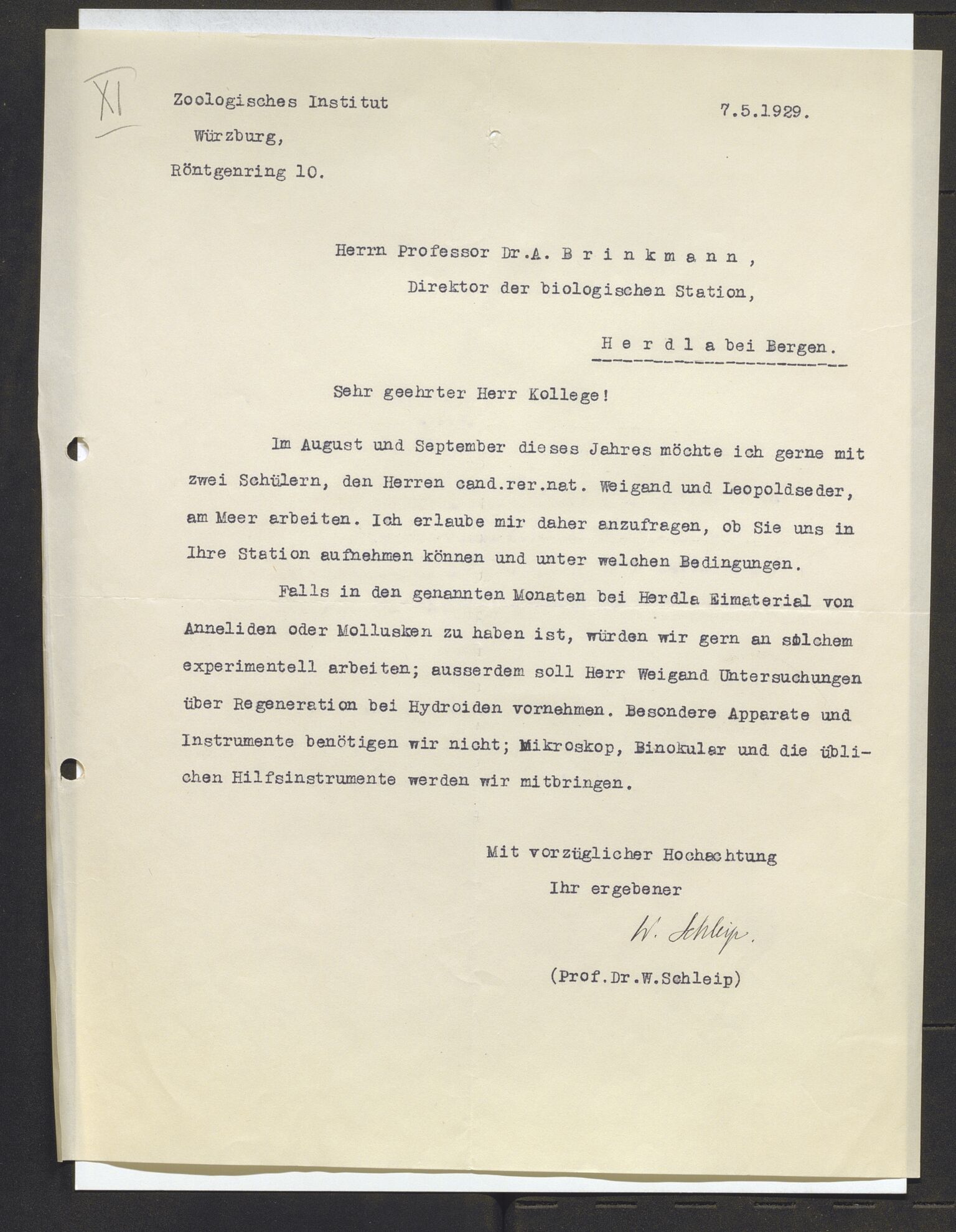 Bergens Museum, AV/SAB-A-17301/13/D/L0002: Korrespondanse , 1928-1940, p. 245