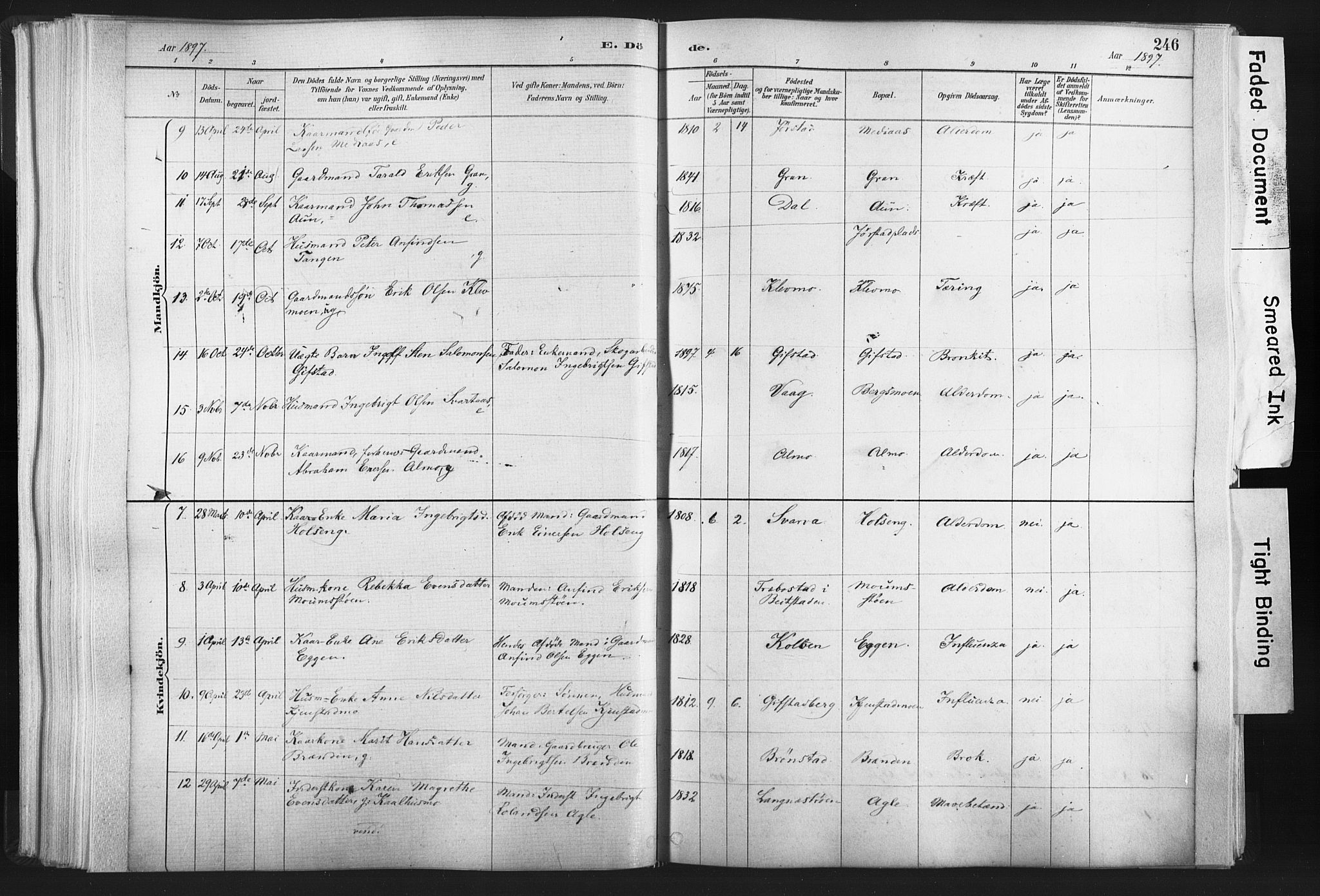 Ministerialprotokoller, klokkerbøker og fødselsregistre - Nord-Trøndelag, AV/SAT-A-1458/749/L0474: Parish register (official) no. 749A08, 1887-1903, p. 246