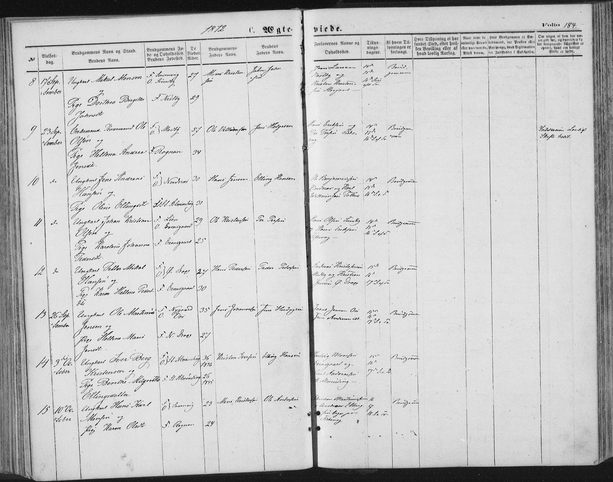 Ministerialprotokoller, klokkerbøker og fødselsregistre - Nordland, SAT/A-1459/847/L0668: Parish register (official) no. 847A08, 1872-1886, p. 184