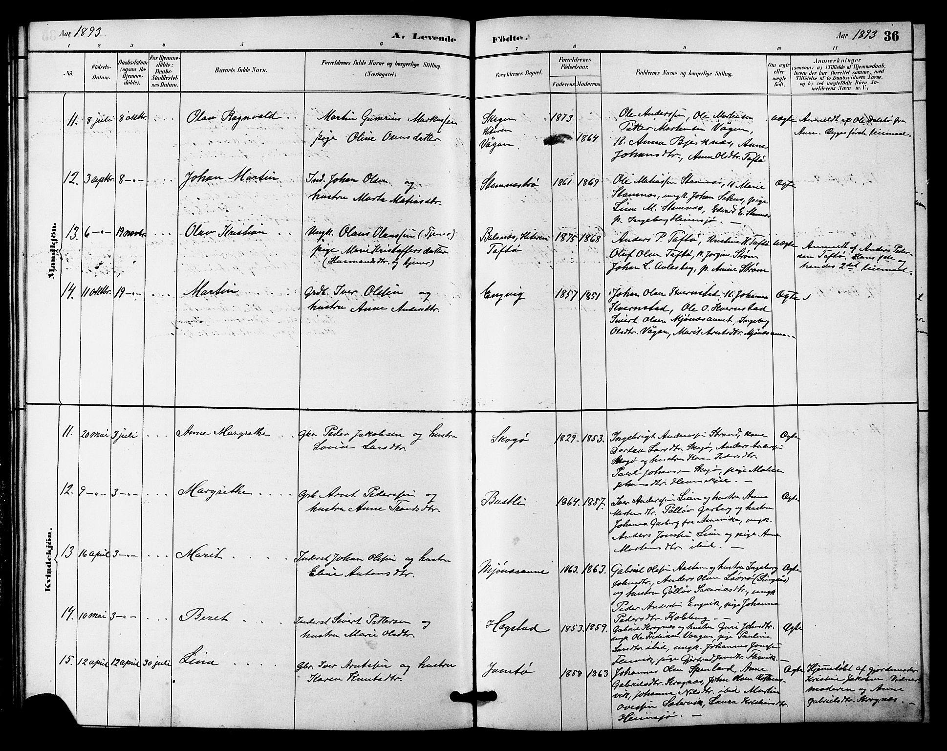 Ministerialprotokoller, klokkerbøker og fødselsregistre - Sør-Trøndelag, AV/SAT-A-1456/633/L0519: Parish register (copy) no. 633C01, 1884-1905, p. 36