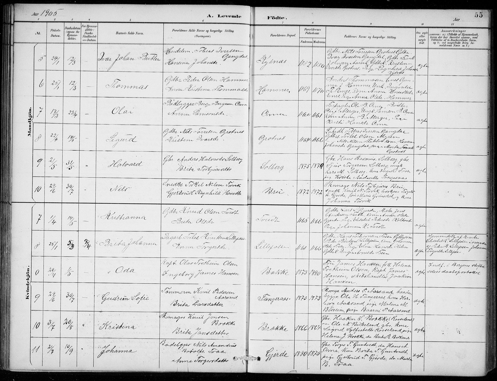 Strandebarm sokneprestembete, SAB/A-78401/H/Hab: Parish register (copy) no. B  1, 1891-1914, p. 55