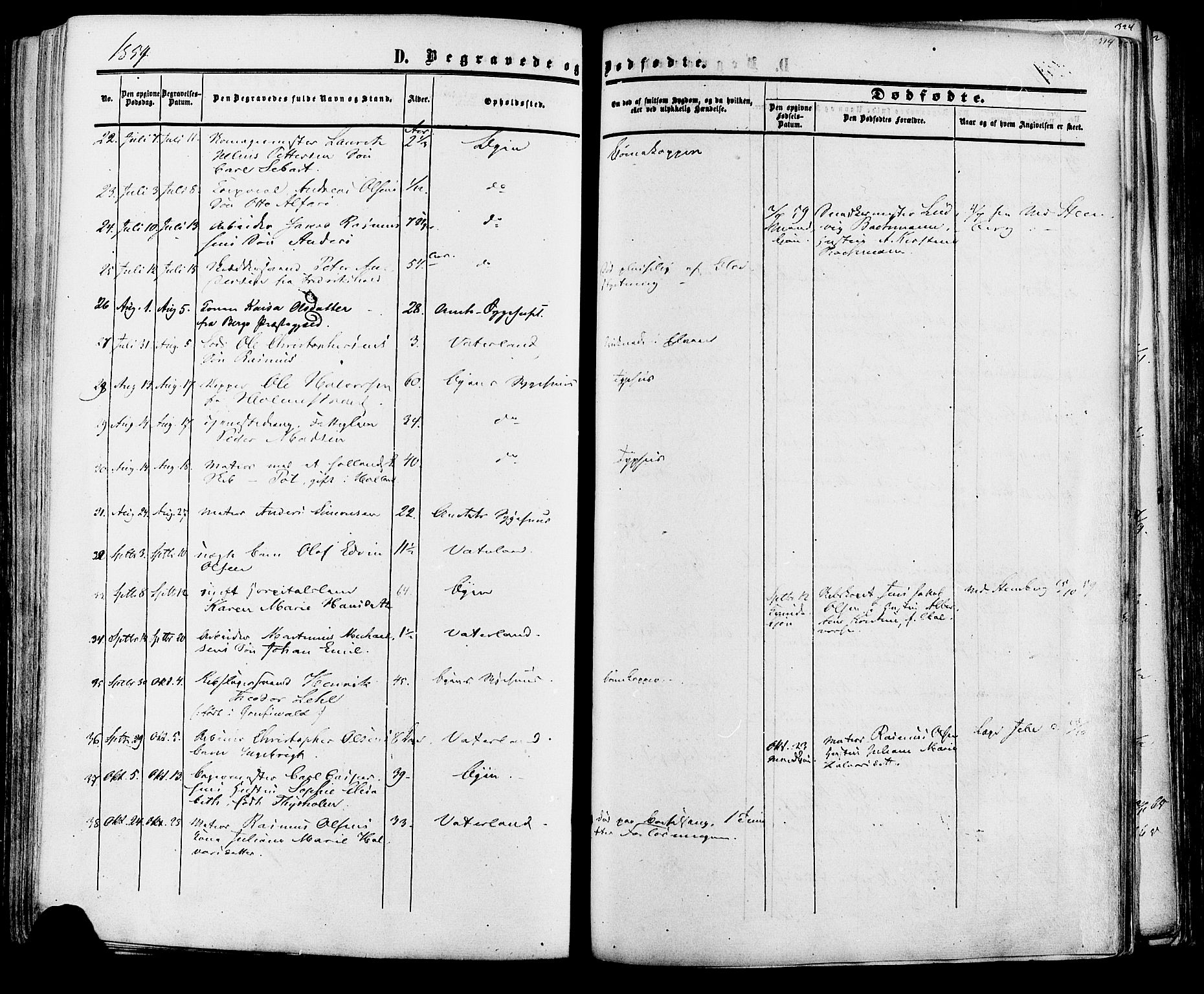 Fredrikstad prestekontor Kirkebøker, AV/SAO-A-11082/F/Fa/L0006: Parish register (official) no. 6, 1857-1878, p. 314