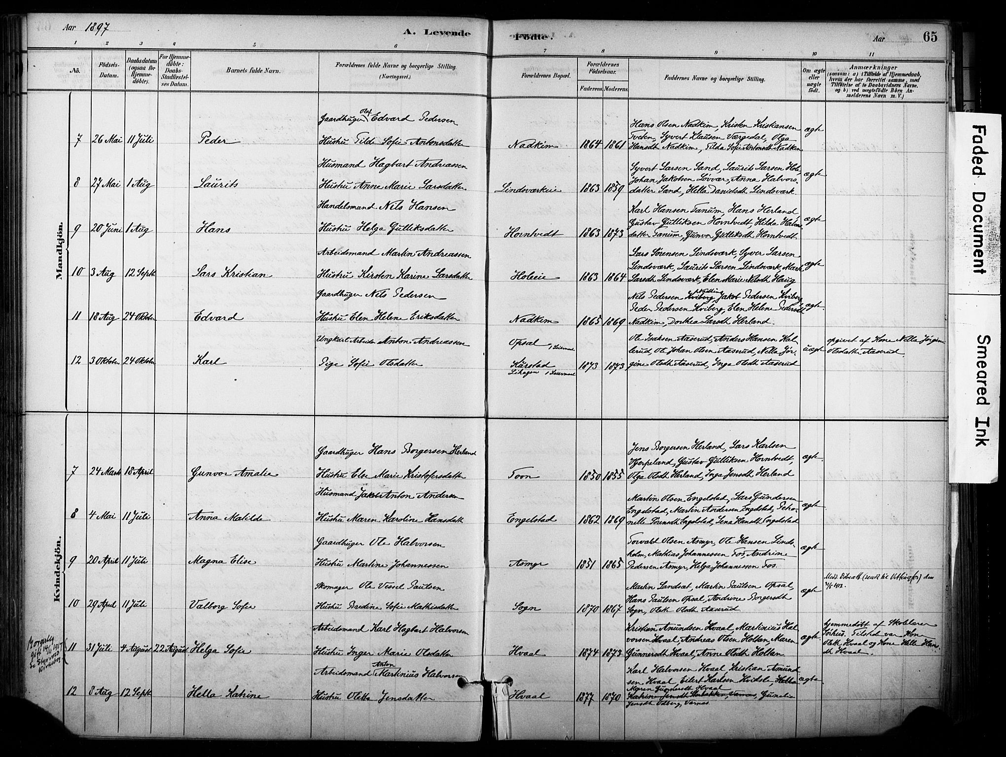 Lardal kirkebøker, AV/SAKO-A-350/F/Fb/L0001: Parish register (official) no. II 1, 1881-1911, p. 65