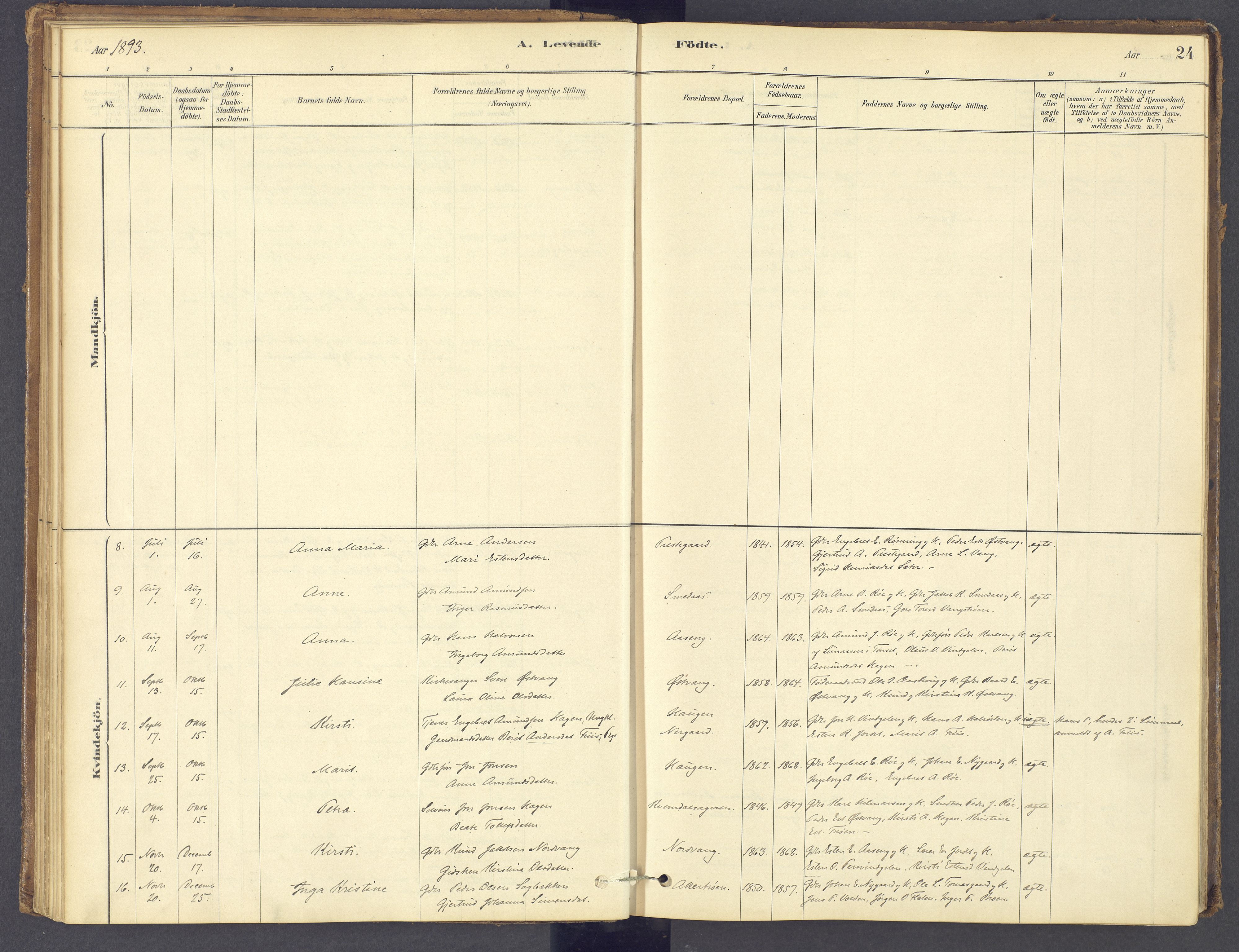 Tolga prestekontor, SAH/PREST-062/K/L0012: Parish register (official) no. 12, 1877-1925, p. 24
