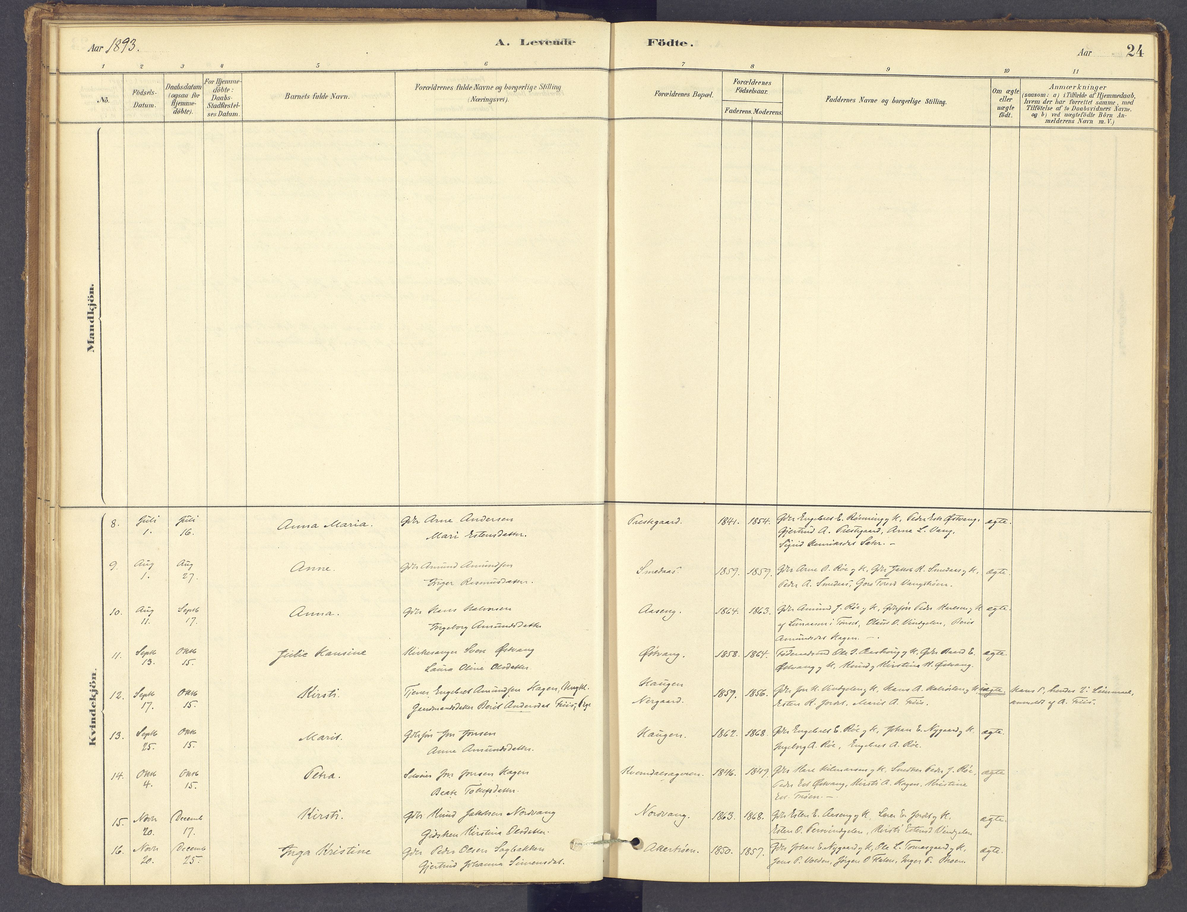 Tolga prestekontor, AV/SAH-PREST-062/K/L0012: Parish register (official) no. 12, 1877-1925, p. 24