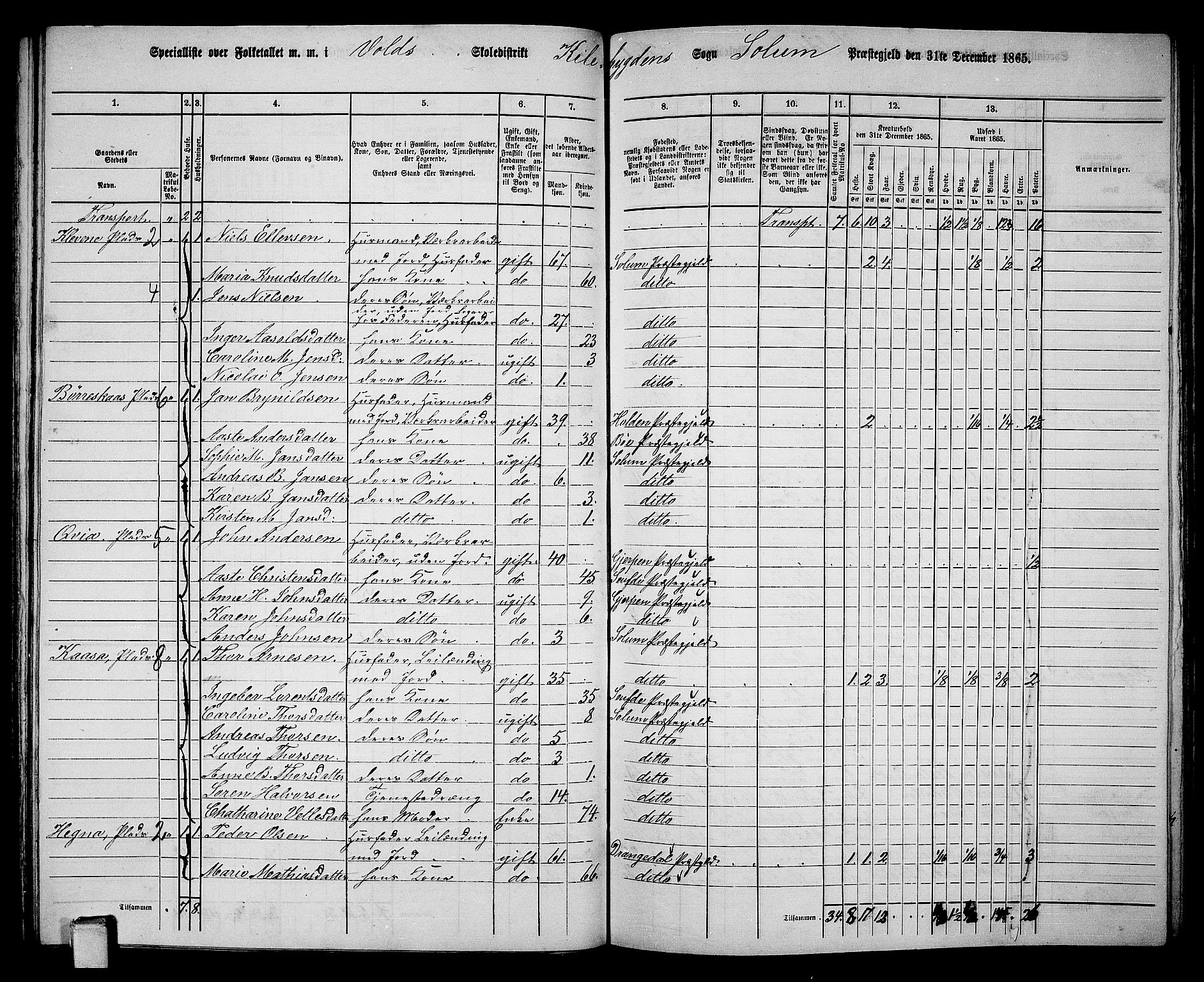 RA, 1865 census for Solum, 1865, p. 129