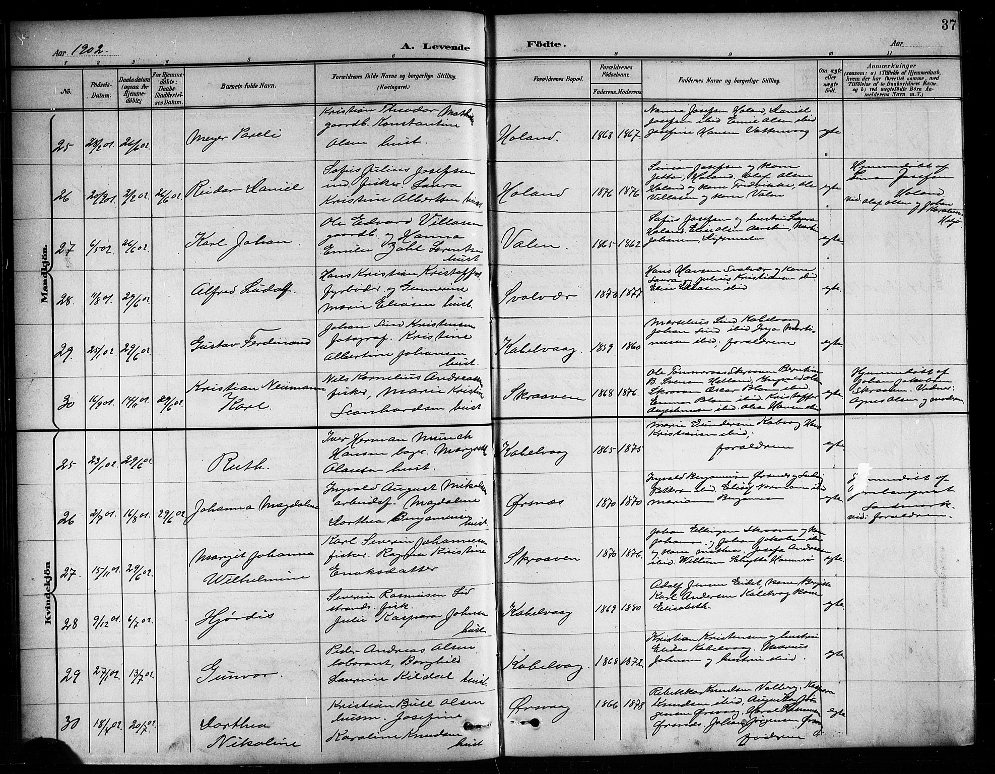 Ministerialprotokoller, klokkerbøker og fødselsregistre - Nordland, AV/SAT-A-1459/874/L1078: Parish register (copy) no. 874C07, 1900-1907, p. 37