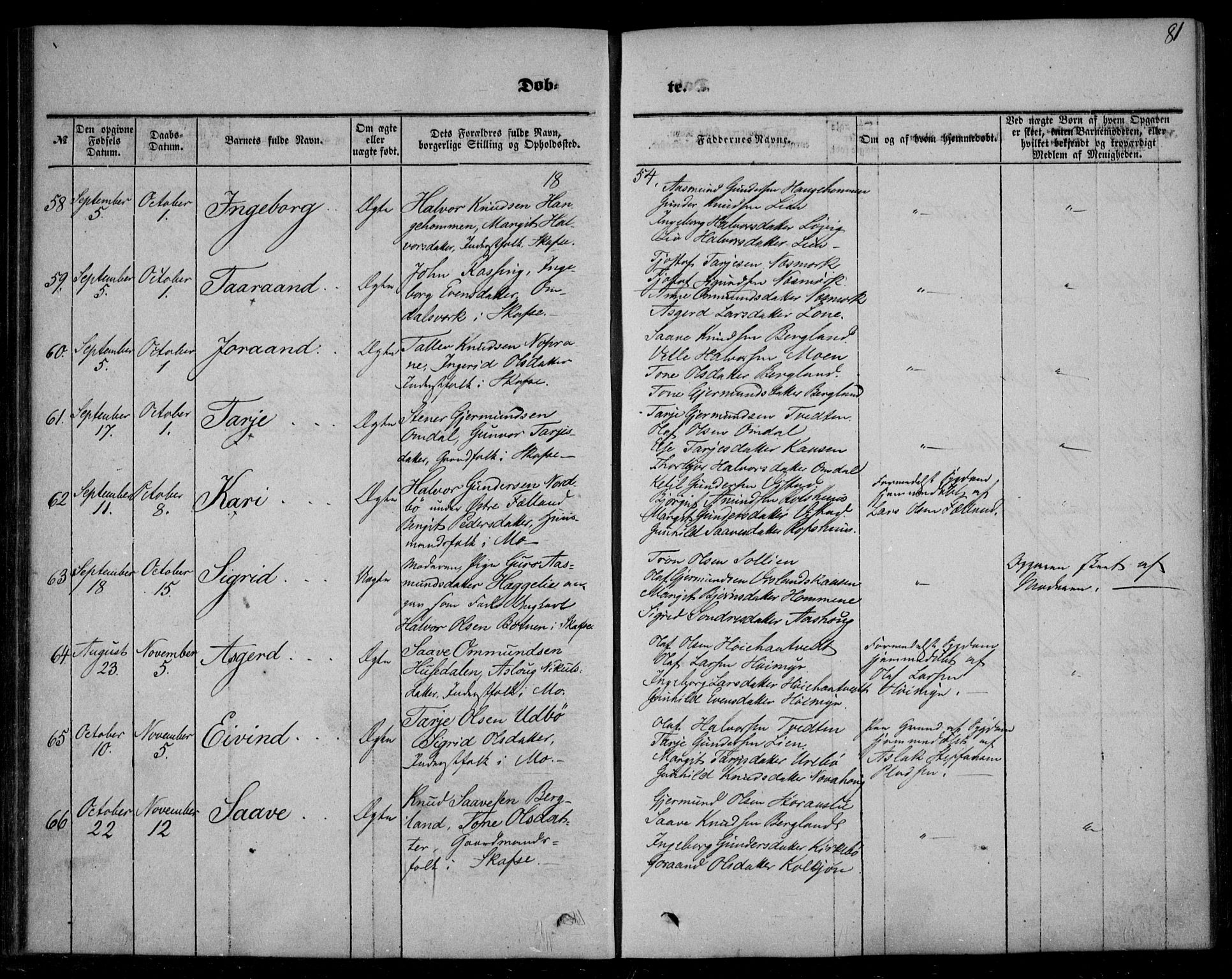 Mo kirkebøker, AV/SAKO-A-286/F/Fa/L0005: Parish register (official) no. I 5, 1844-1864, p. 81