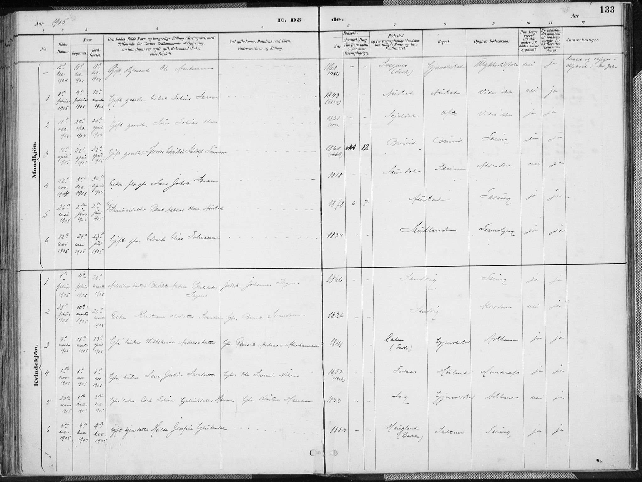 Herad sokneprestkontor, SAK/1111-0018/F/Fa/Faa/L0006: Parish register (official) no. A 6, 1887-1907, p. 133