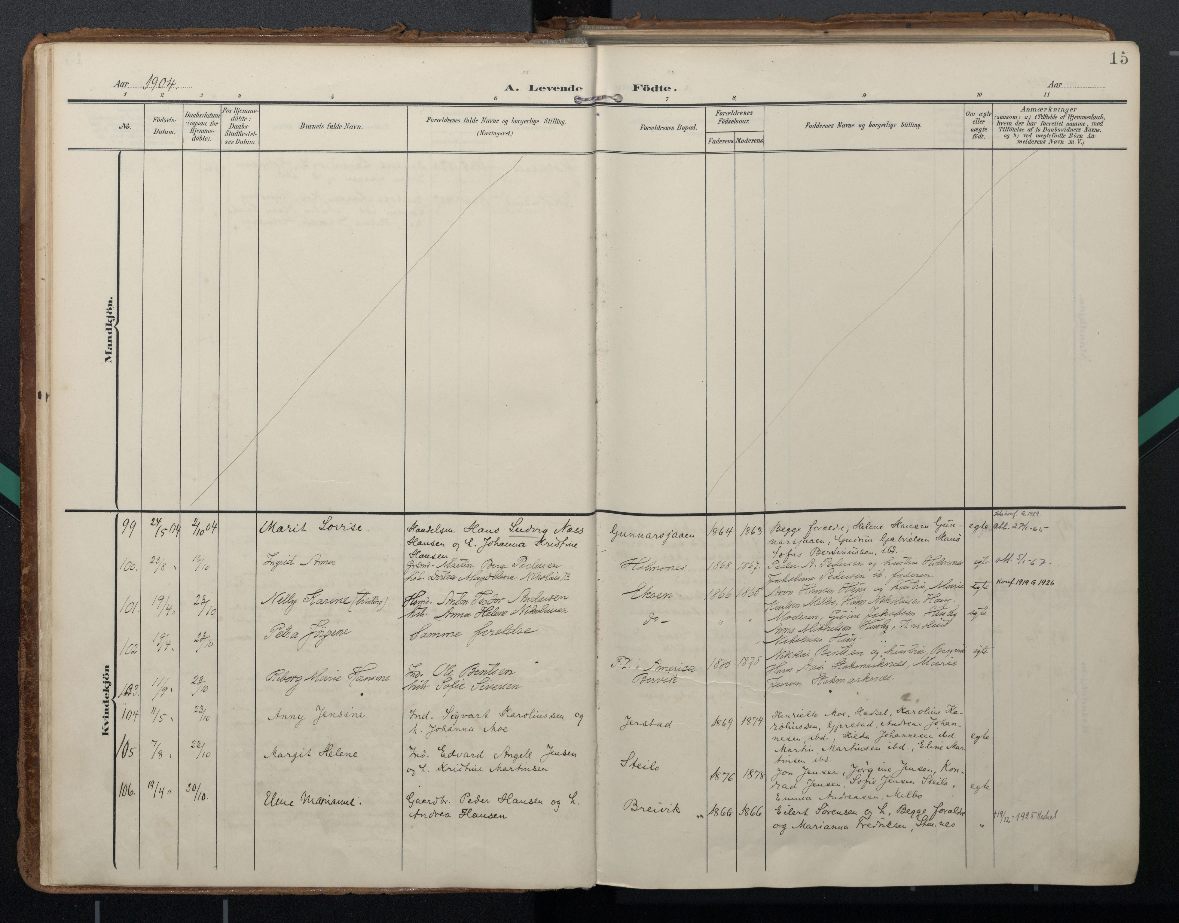 Ministerialprotokoller, klokkerbøker og fødselsregistre - Nordland, SAT/A-1459/888/L1248: Parish register (official) no. 888A14, 1904-1913, p. 15