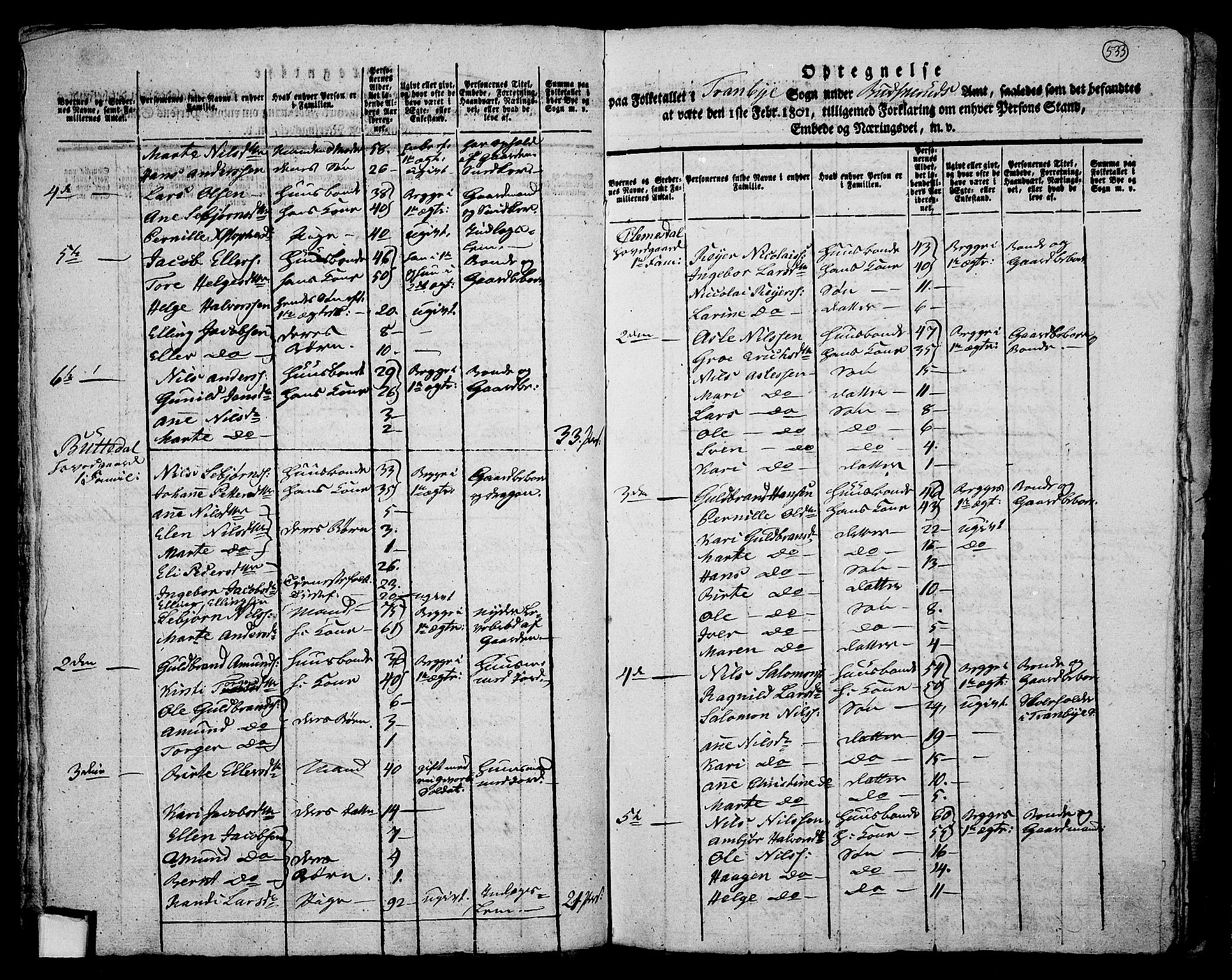 RA, 1801 census for 0626P Lier, 1801, p. 532b-533a