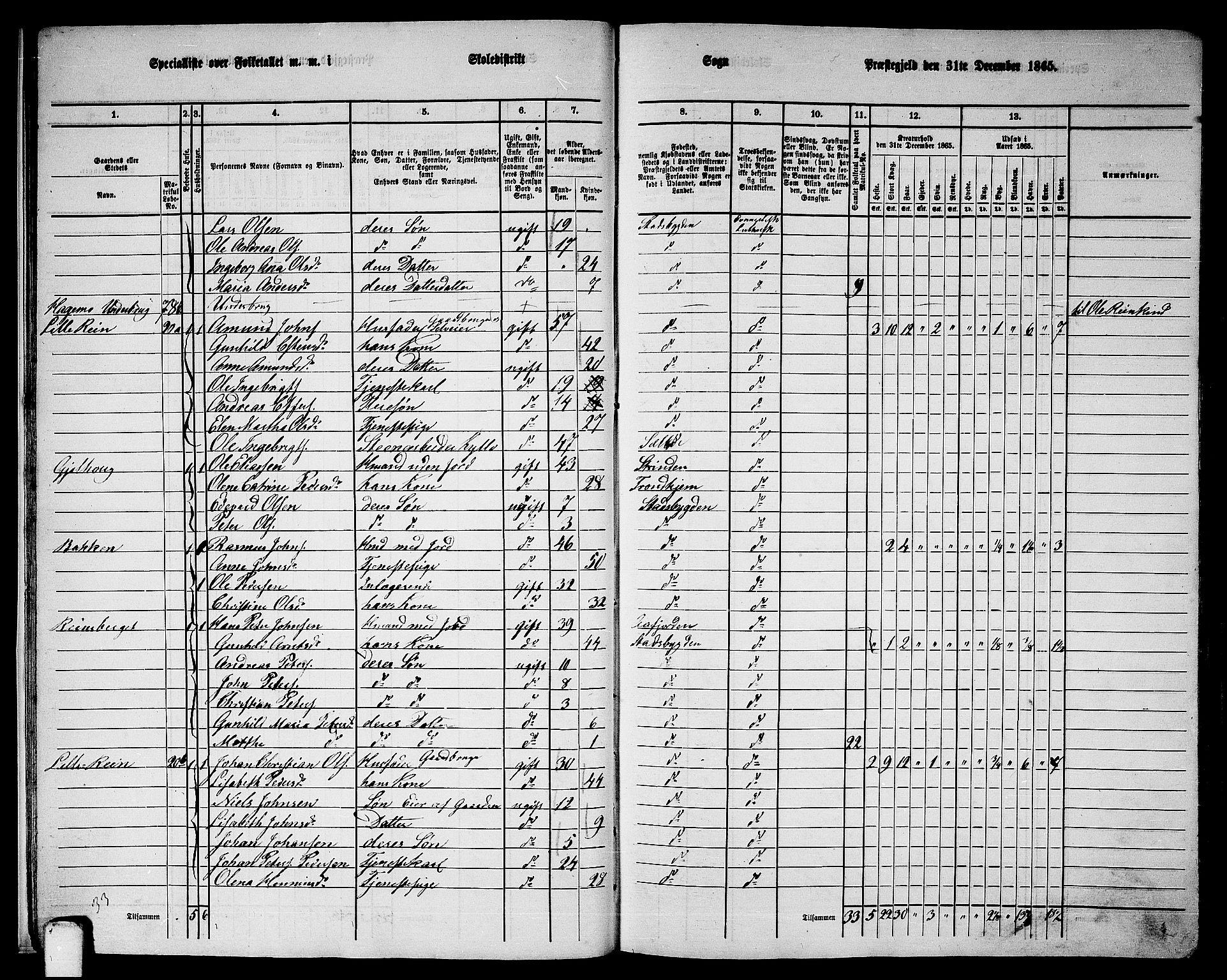 RA, 1865 census for Stadsbygd, 1865, p. 17