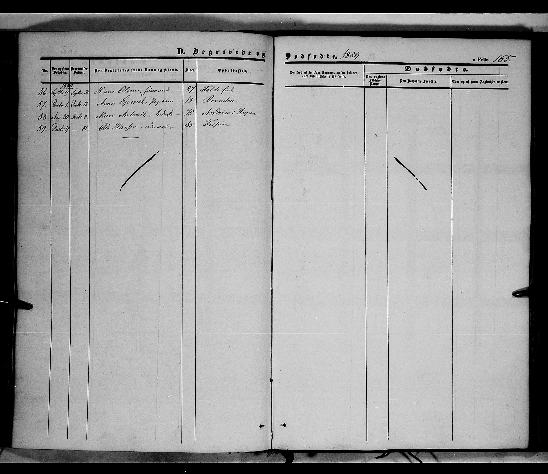 Land prestekontor, SAH/PREST-120/H/Ha/Haa/L0010: Parish register (official) no. 10, 1847-1859, p. 165