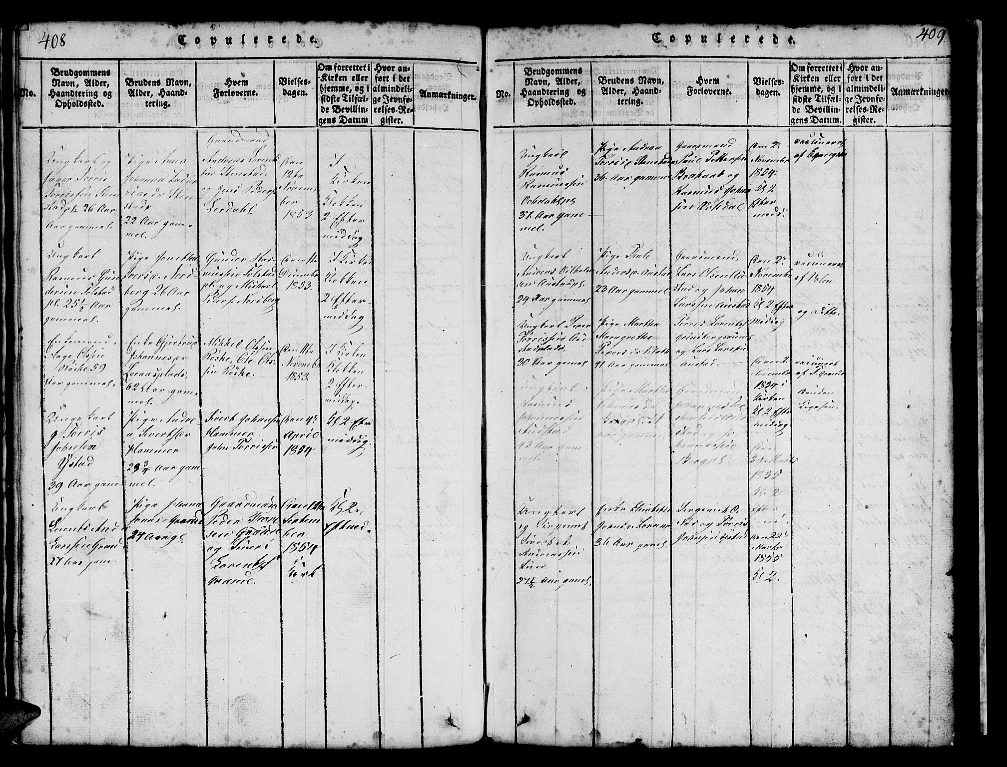 Ministerialprotokoller, klokkerbøker og fødselsregistre - Nord-Trøndelag, SAT/A-1458/731/L0310: Parish register (copy) no. 731C01, 1816-1874, p. 408-409