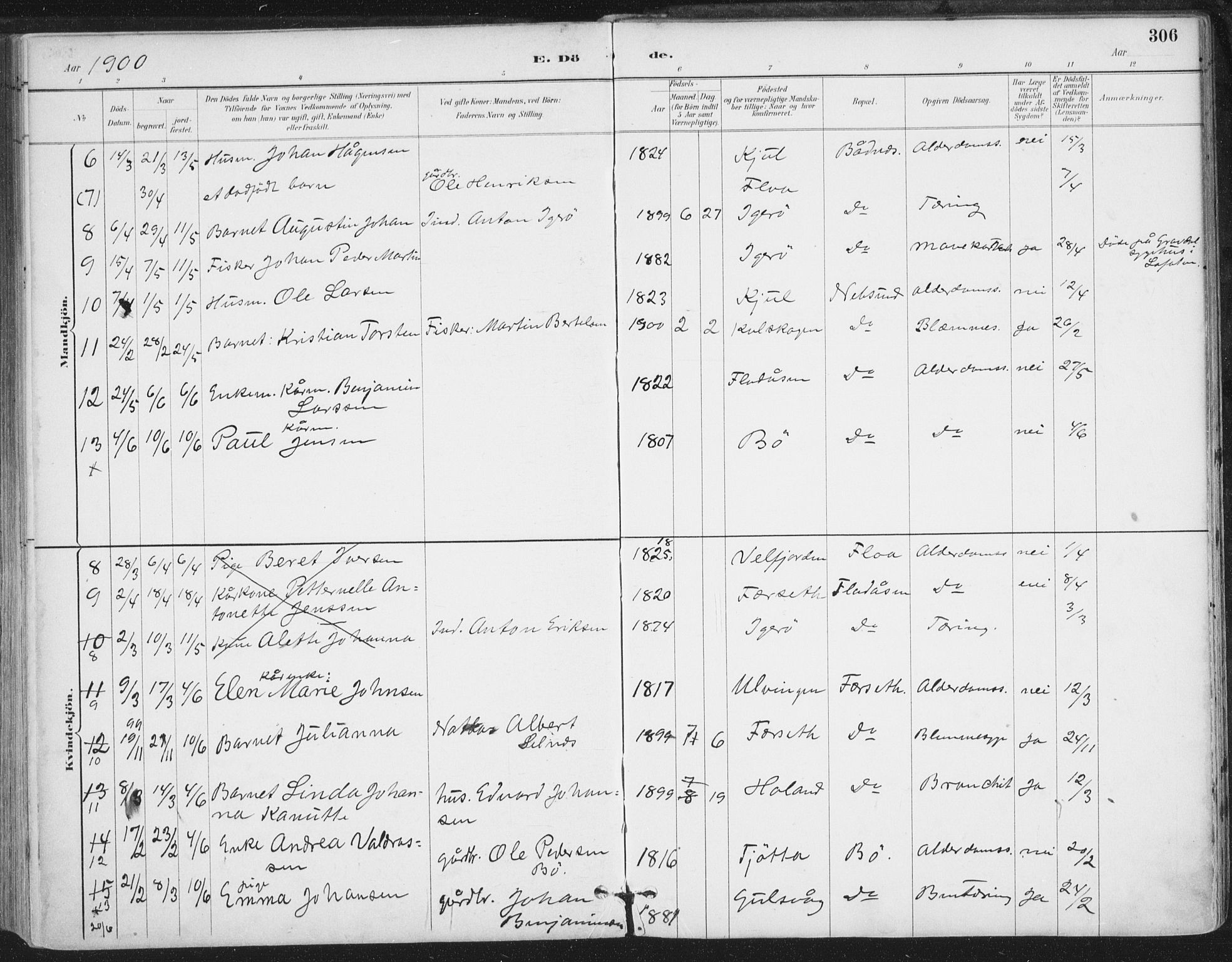 Ministerialprotokoller, klokkerbøker og fødselsregistre - Nordland, AV/SAT-A-1459/816/L0244: Parish register (official) no. 816A10, 1886-1903, p. 306