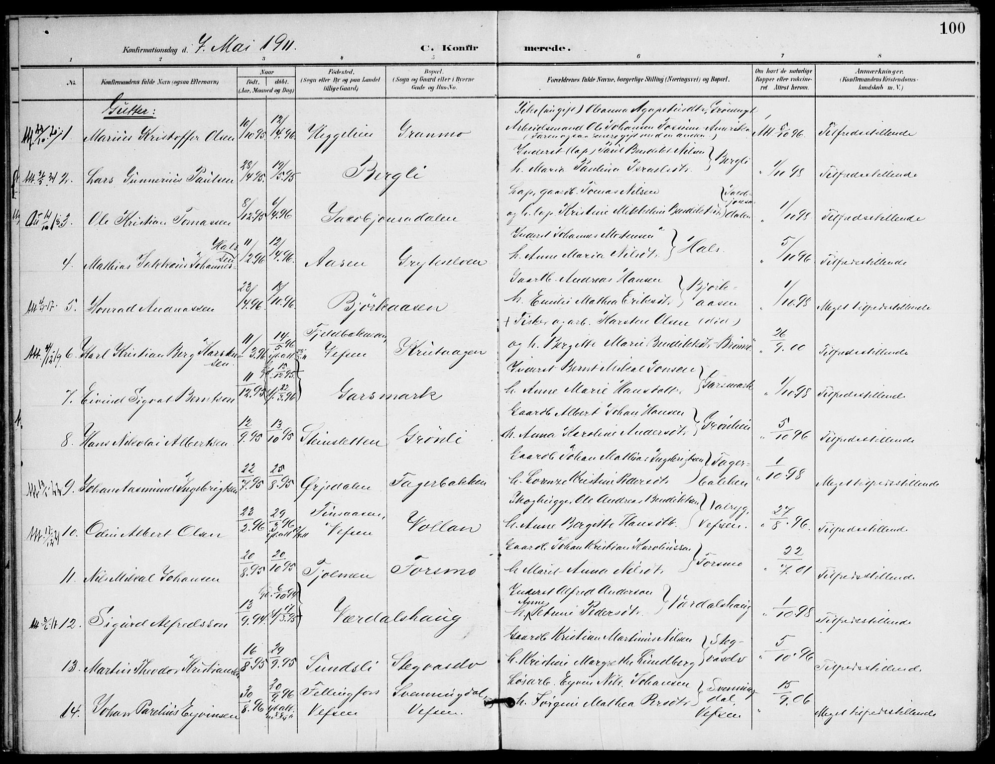 Ministerialprotokoller, klokkerbøker og fødselsregistre - Nordland, AV/SAT-A-1459/823/L0326: Parish register (official) no. 823A03, 1899-1919, p. 100