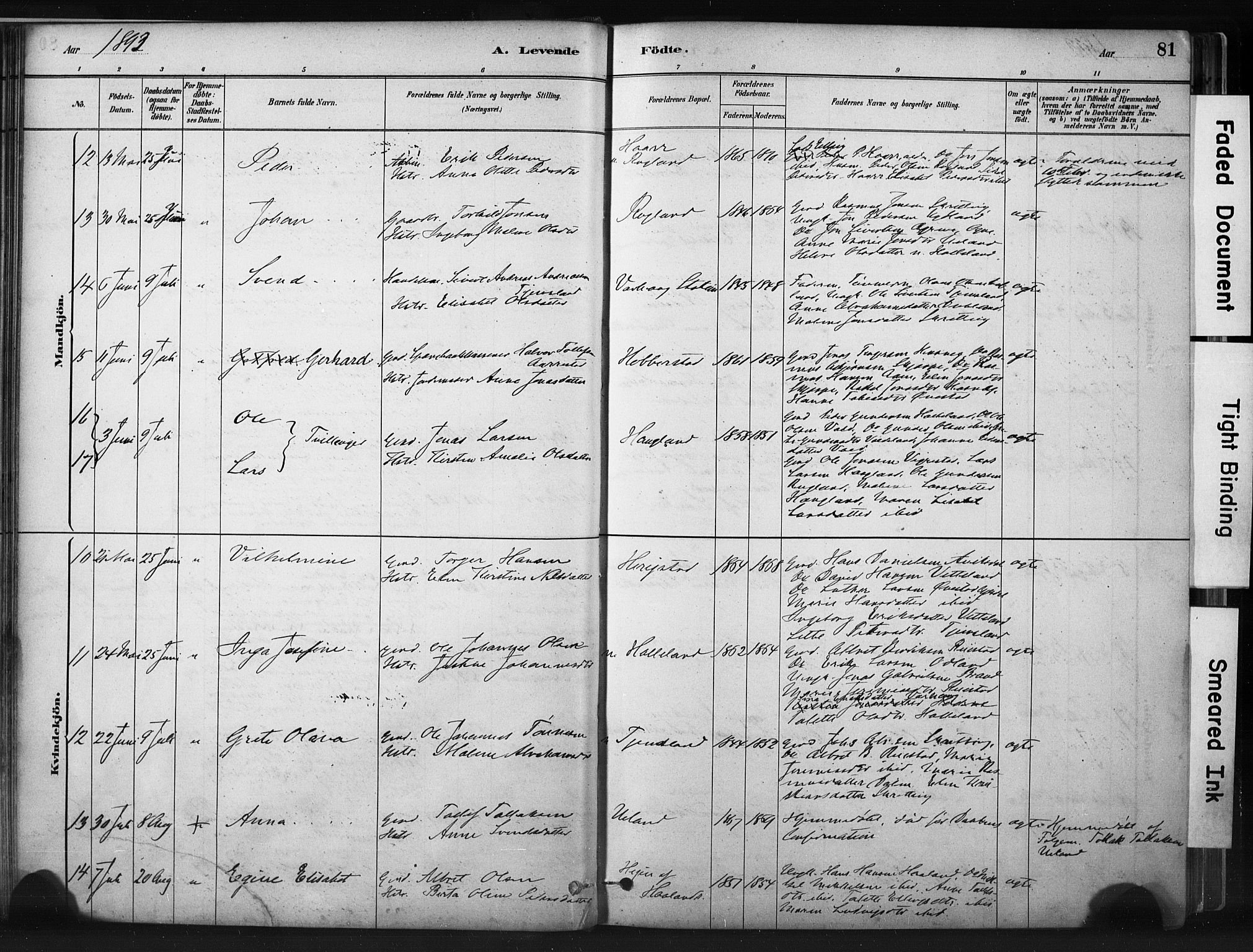 Hå sokneprestkontor, AV/SAST-A-101801/001/30BA/L0011: Parish register (official) no. A 10, 1879-1900, p. 81