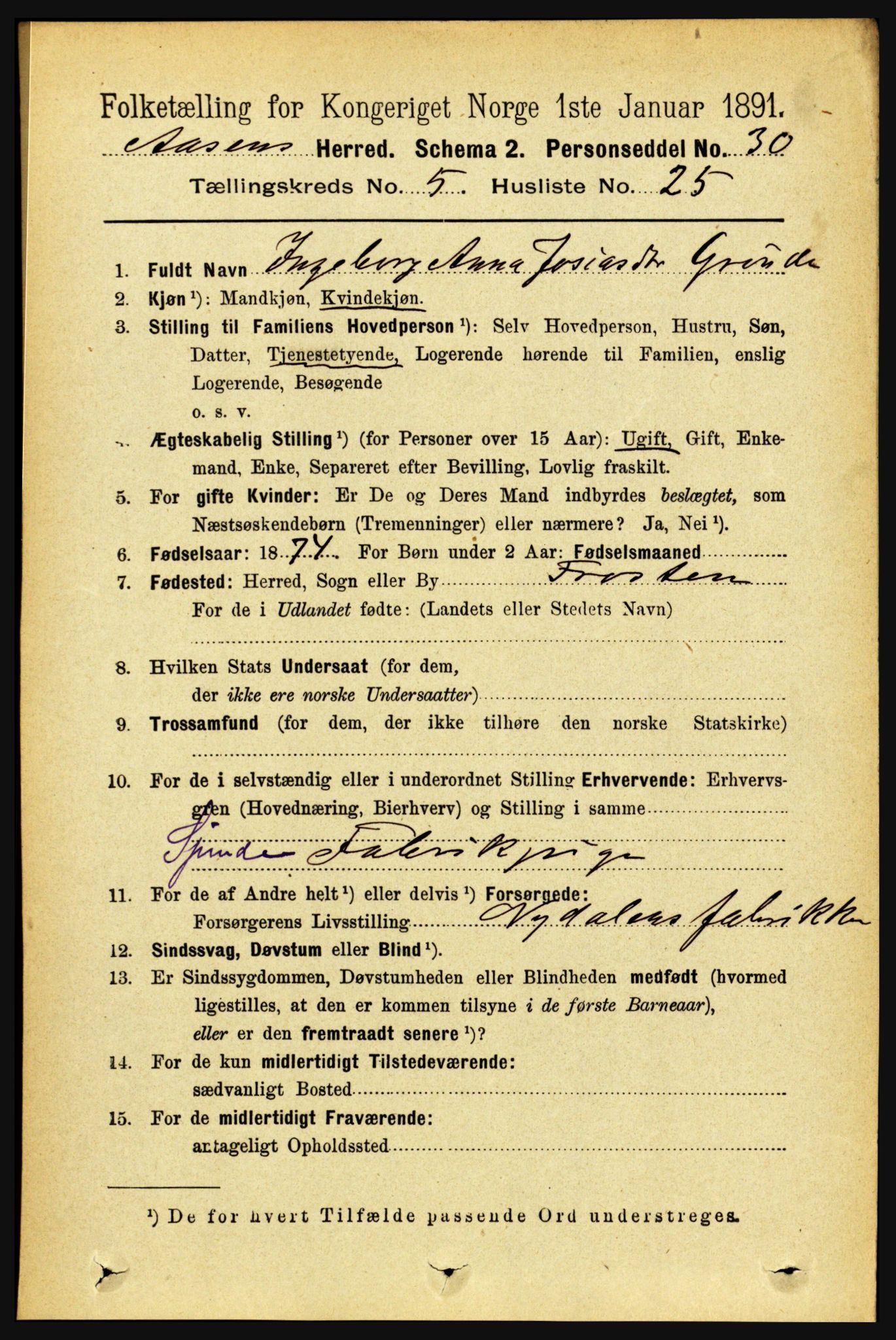 RA, 1891 census for 1716 Åsen, 1891, p. 2114