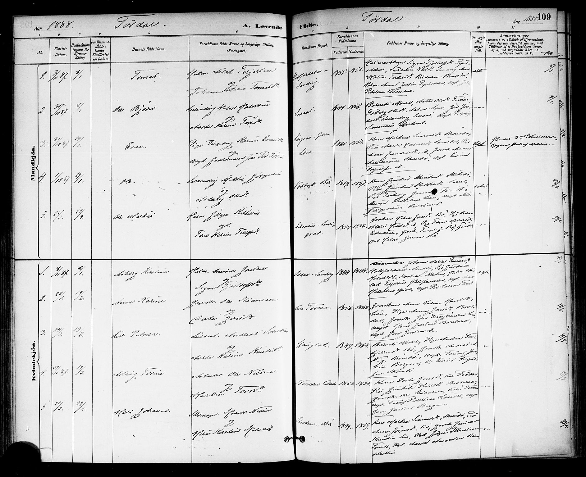 Drangedal kirkebøker, SAKO/A-258/F/Fa/L0010: Parish register (official) no. 10 /2, 1885-1894, p. 109