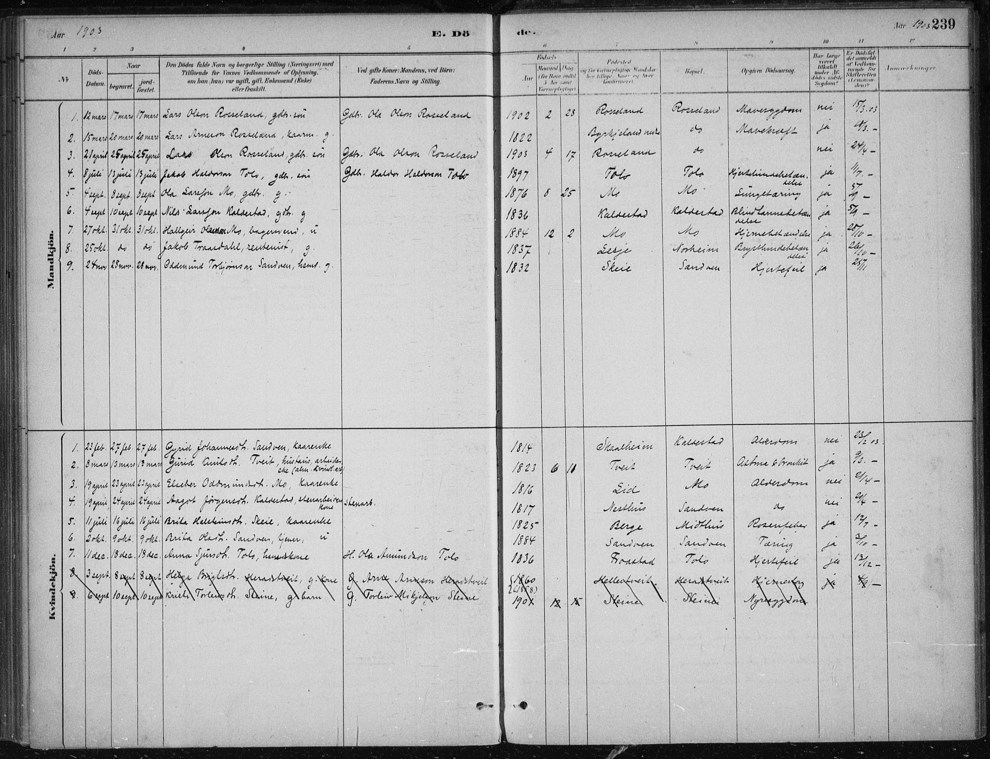 Kvam sokneprestembete, AV/SAB-A-76201/H/Haa: Parish register (official) no. B  1, 1880-1908, p. 239