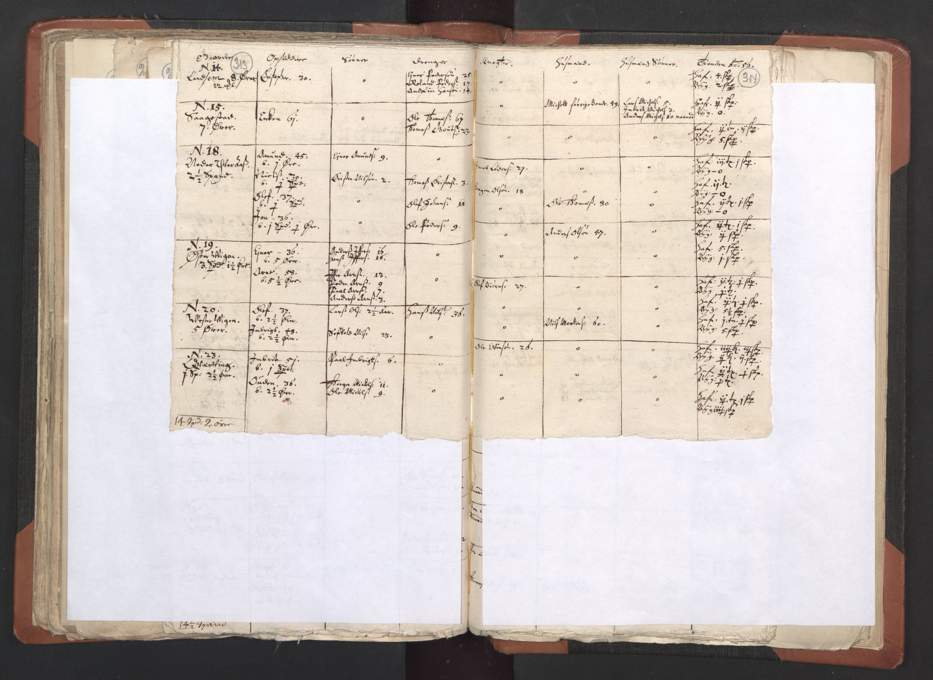 RA, Vicar's Census 1664-1666, no. 33: Innherad deanery, 1664-1666, p. 313-314