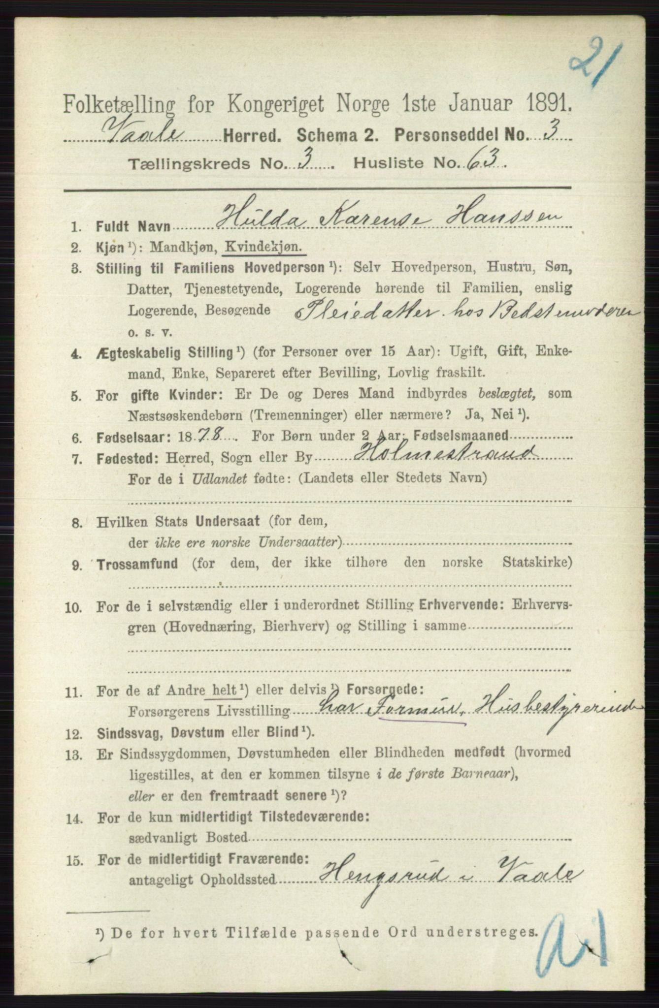 RA, 1891 census for 0716 Våle, 1891, p. 911
