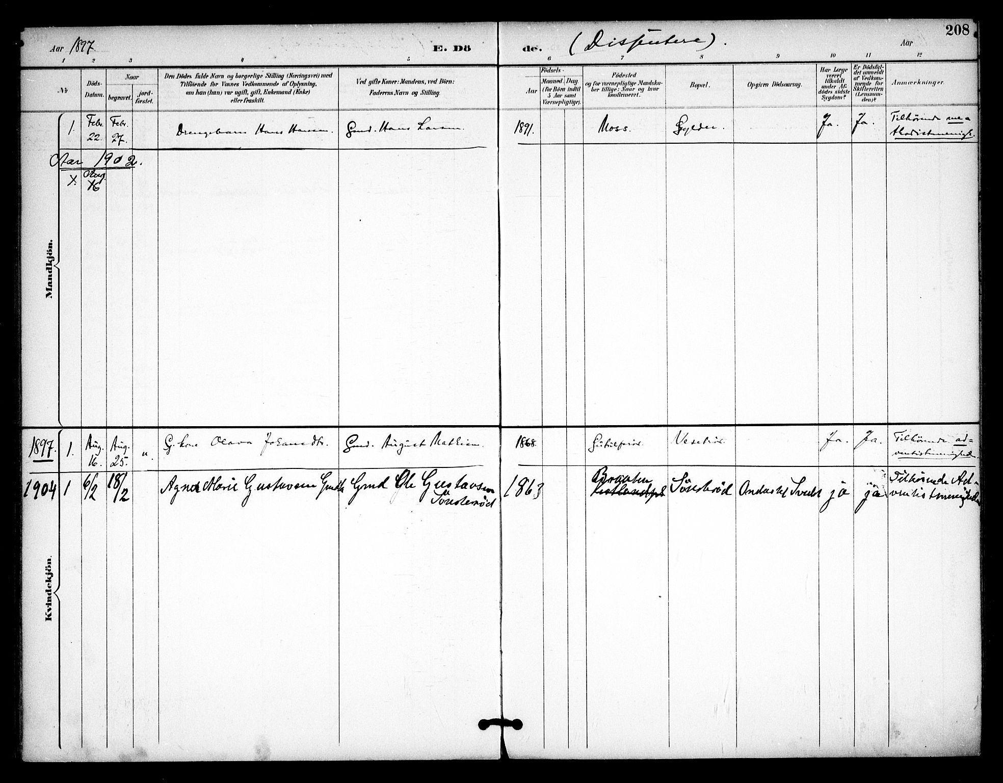 Våler prestekontor Kirkebøker, AV/SAO-A-11083/F/Fa/L0011: Parish register (official) no. I 11, 1893-1909, p. 208