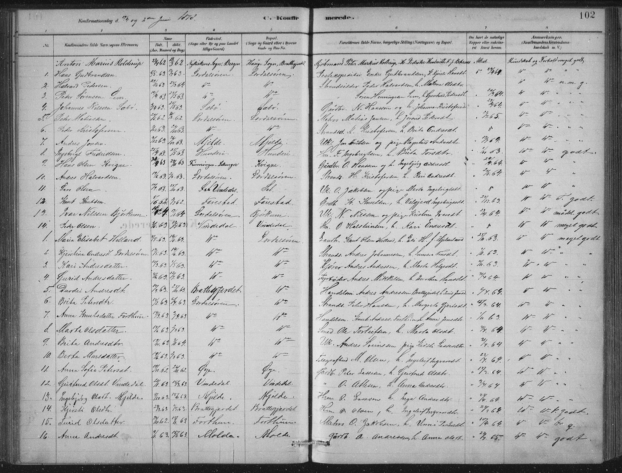 Lærdal sokneprestembete, SAB/A-81201: Parish register (official) no. D  1, 1878-1908, p. 102