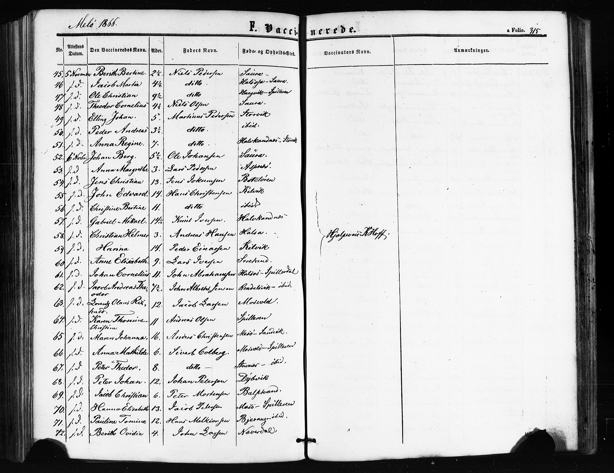 Ministerialprotokoller, klokkerbøker og fødselsregistre - Nordland, SAT/A-1459/841/L0607: Parish register (official) no. 841A11 /2, 1863-1877, p. 315