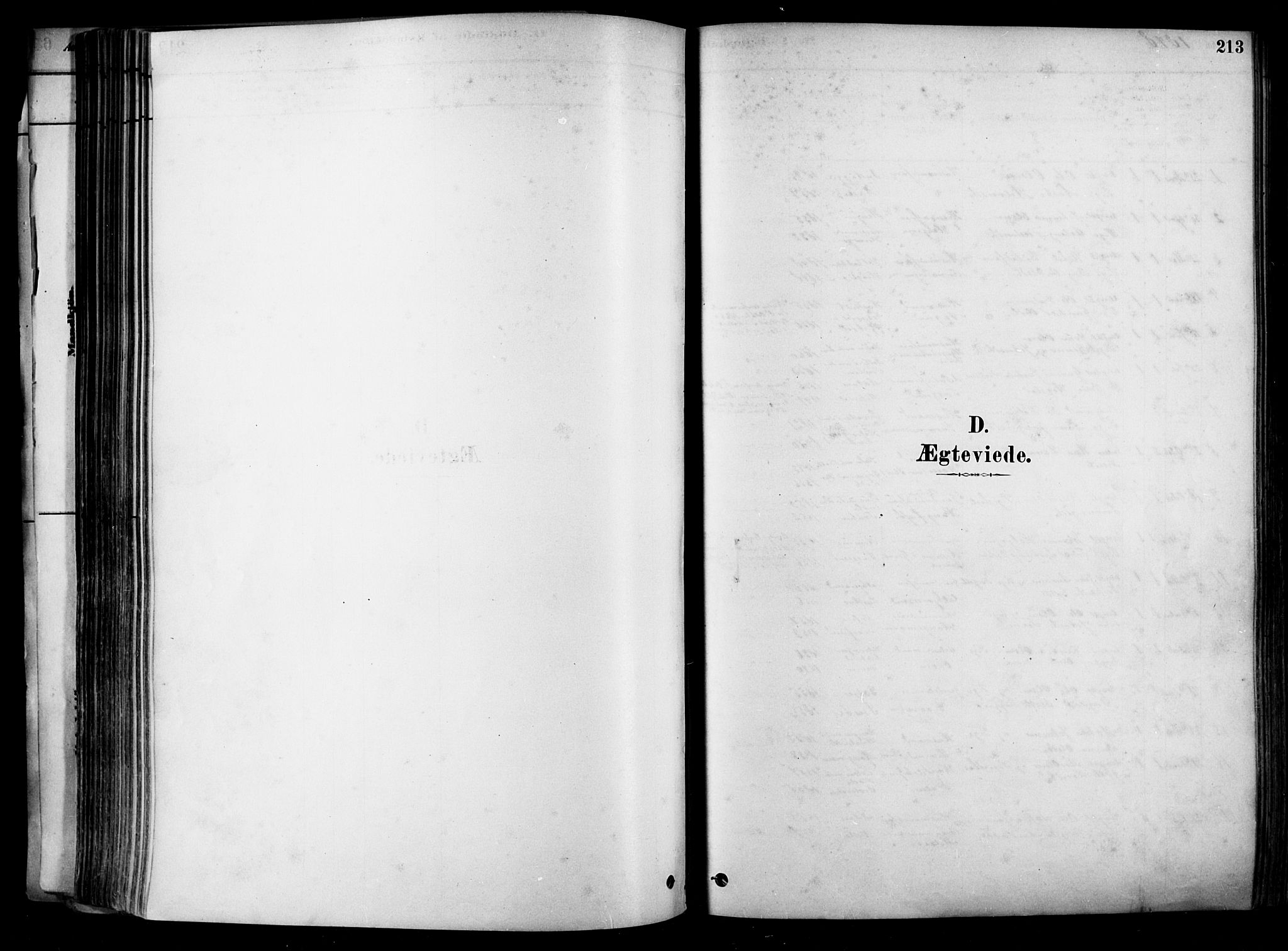 Heddal kirkebøker, SAKO/A-268/F/Fa/L0008: Parish register (official) no. I 8, 1878-1903, p. 213