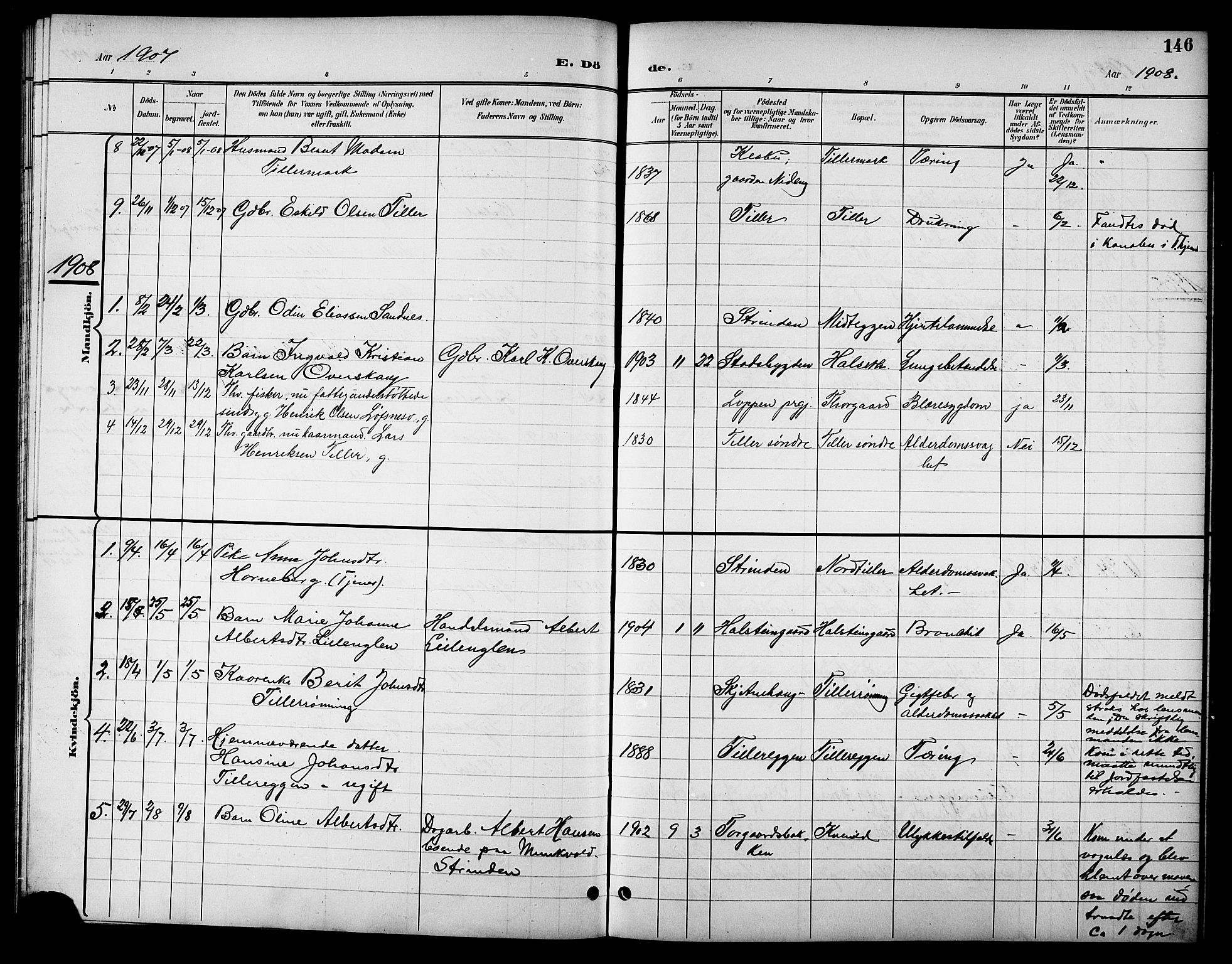 Ministerialprotokoller, klokkerbøker og fødselsregistre - Sør-Trøndelag, SAT/A-1456/621/L0460: Parish register (copy) no. 621C03, 1896-1914, p. 146