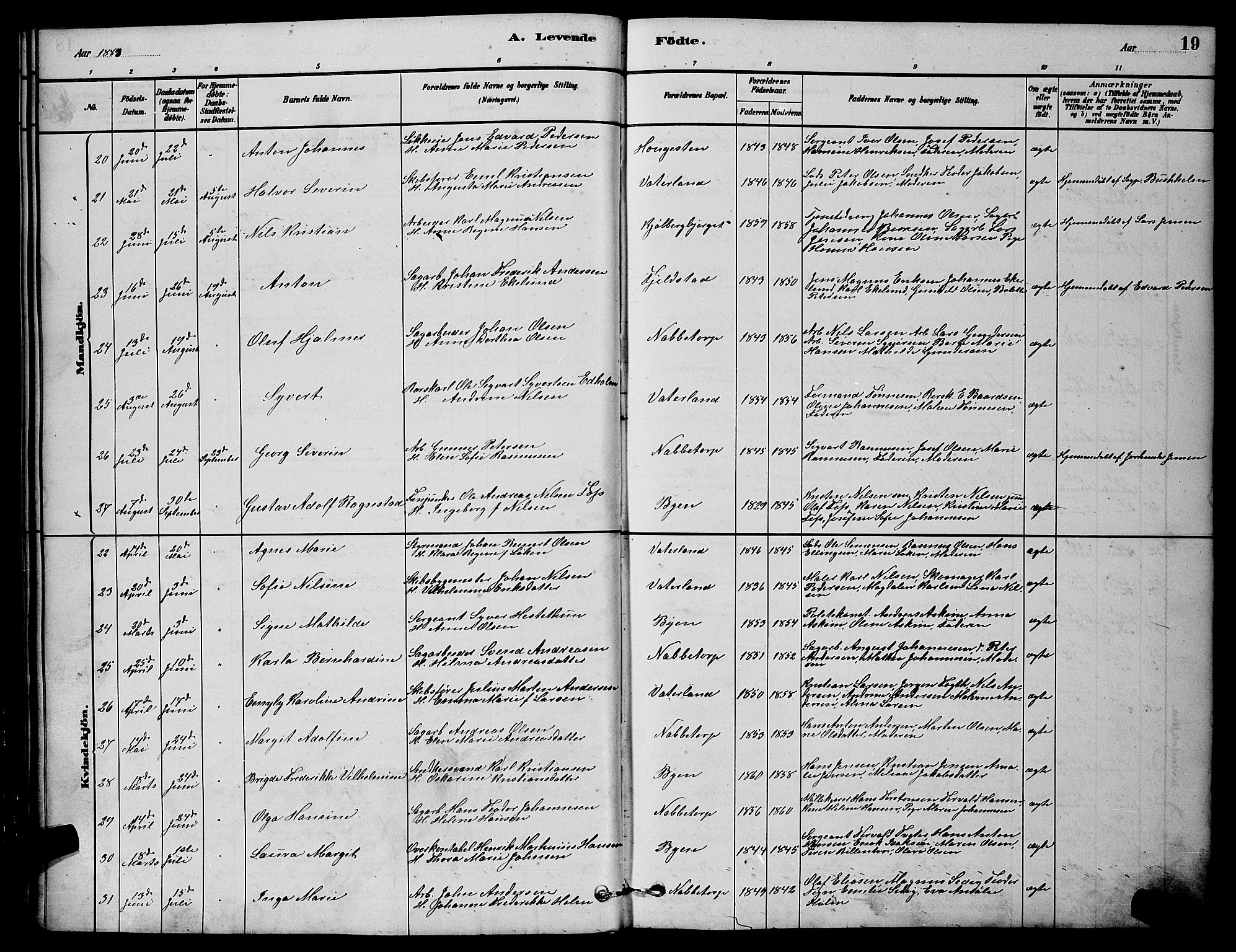 Østre Fredrikstad prestekontor Kirkebøker, SAO/A-10907/G/Ga/L0001: Parish register (copy) no. 1, 1880-1899, p. 19