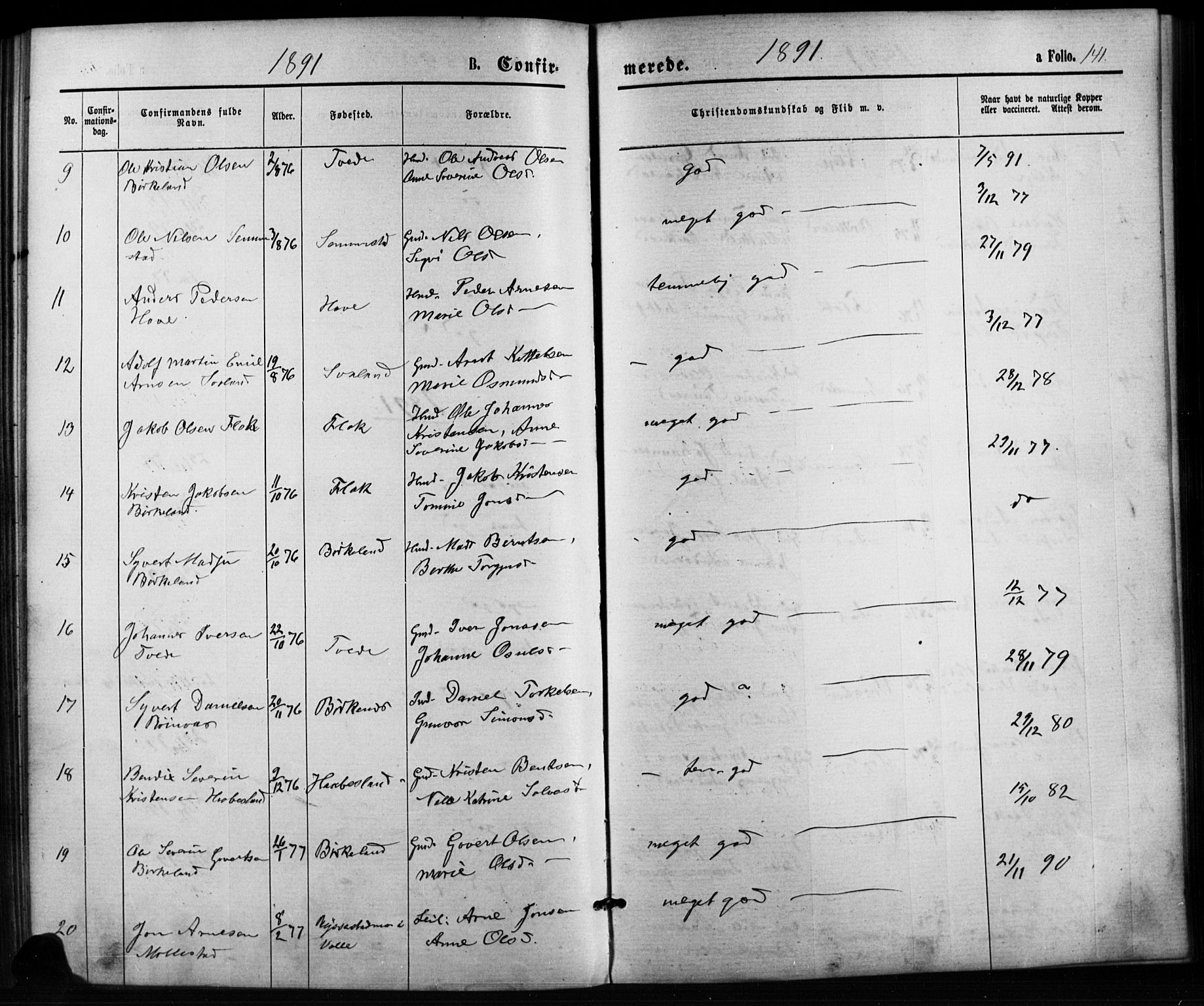 Birkenes sokneprestkontor, AV/SAK-1111-0004/F/Fb/L0003: Parish register (copy) no. B 3, 1876-1892, p. 141