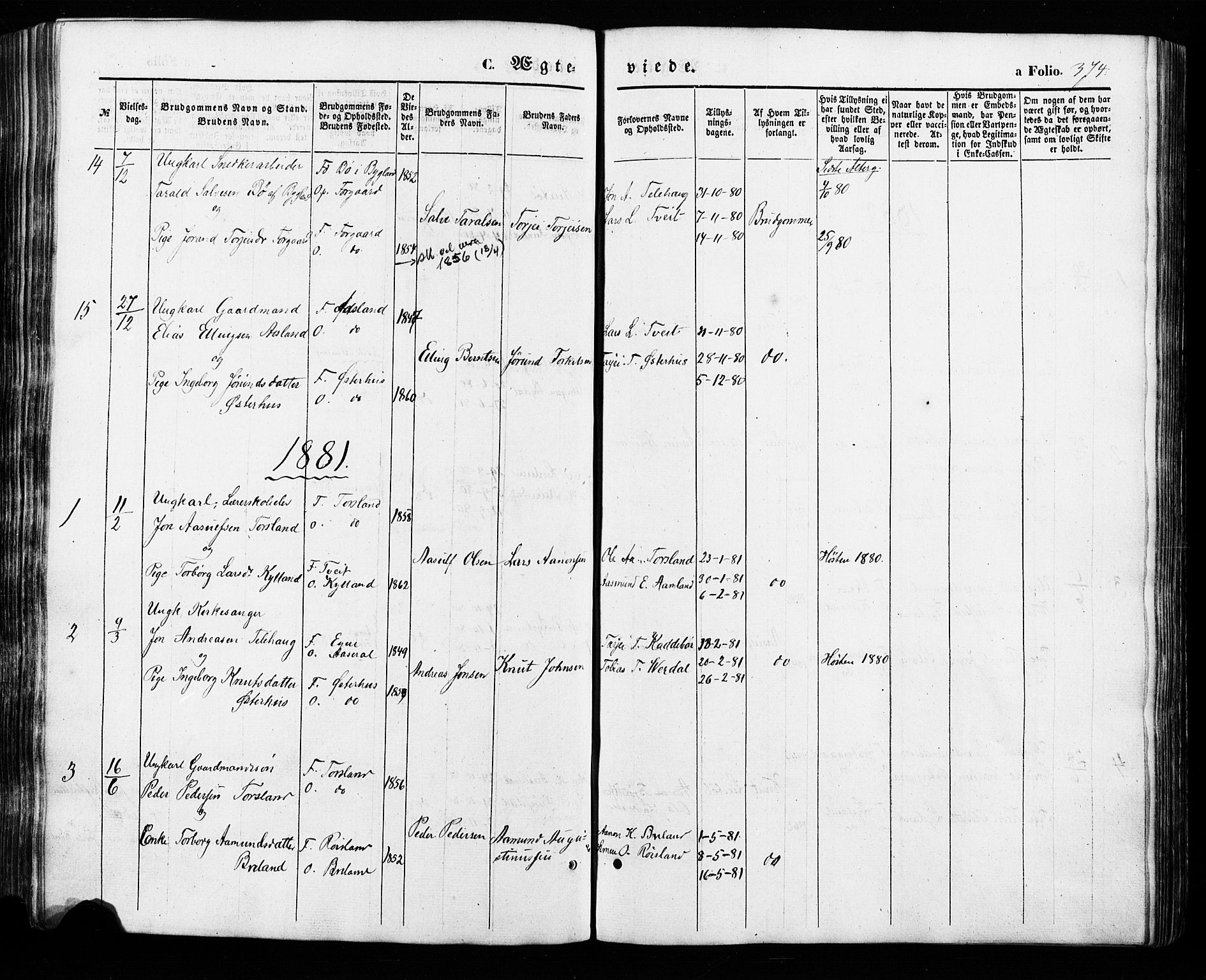 Åseral sokneprestkontor, SAK/1111-0051/F/Fa/L0002: Parish register (official) no. A 2, 1854-1884, p. 374