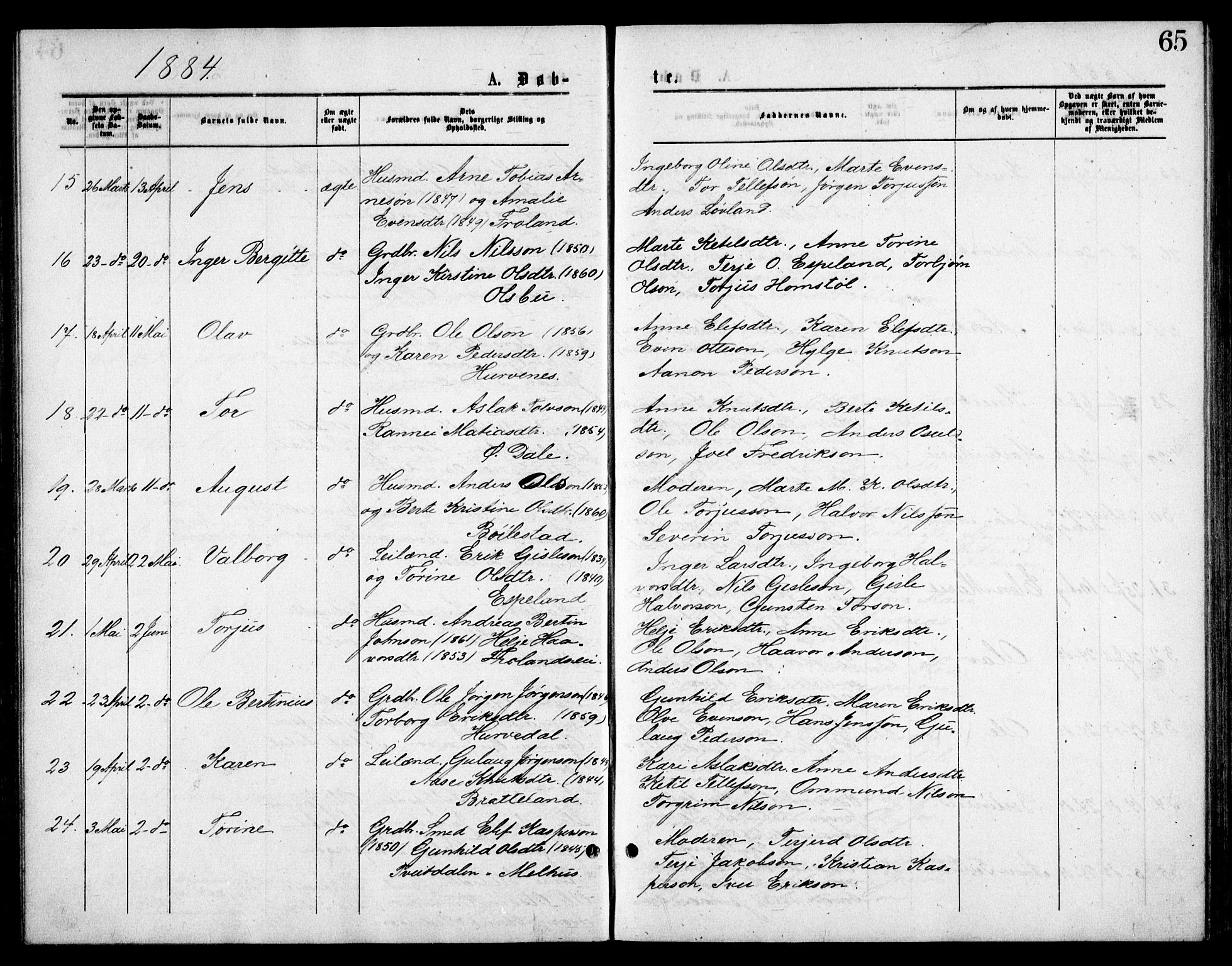 Froland sokneprestkontor, AV/SAK-1111-0013/F/Fb/L0009: Parish register (copy) no. B 9, 1875-1893, p. 65