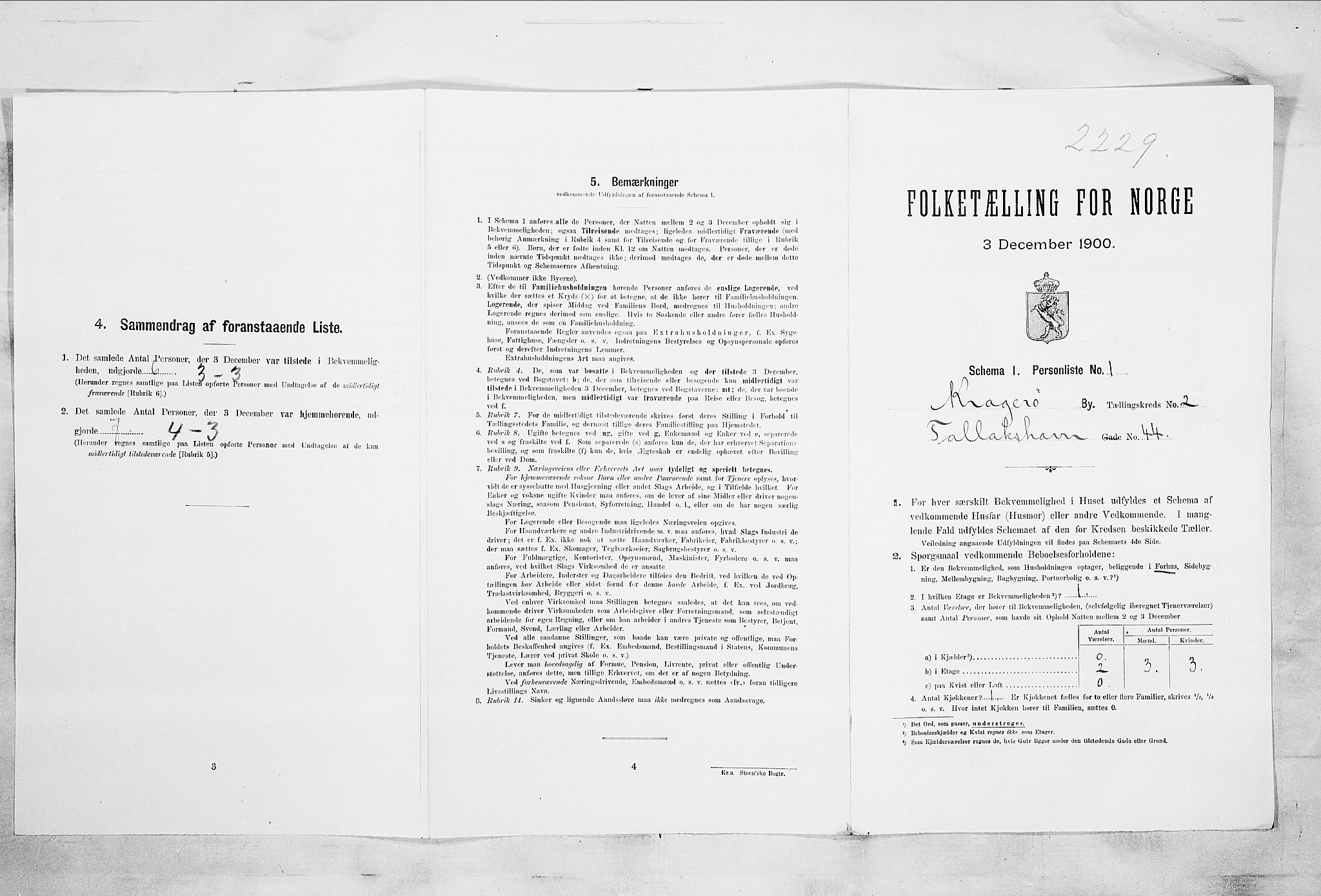 SAKO, 1900 census for Kragerø, 1900, p. 262