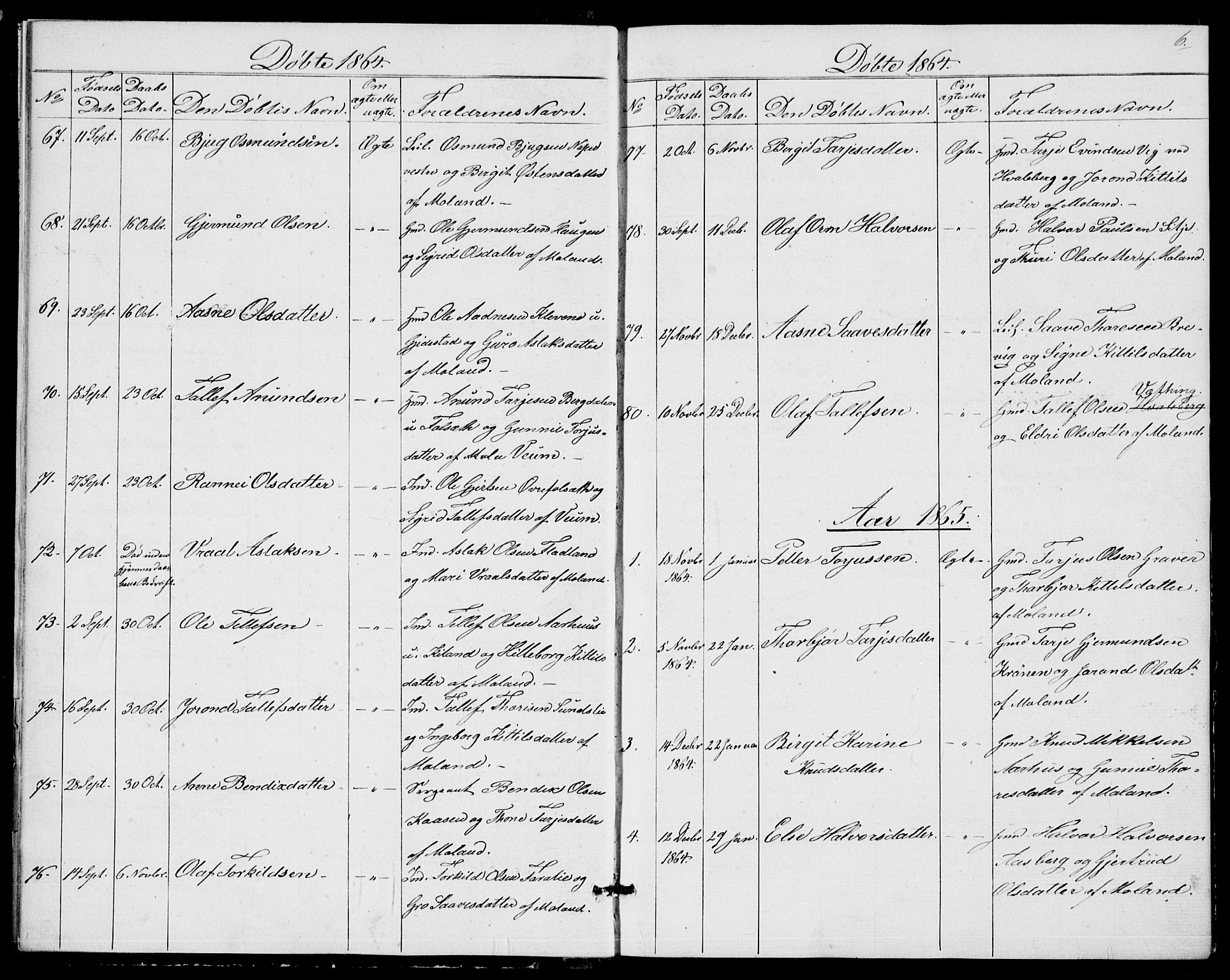 Fyresdal kirkebøker, SAKO/A-263/G/Ga/L0004: Parish register (copy) no. I 4, 1864-1892, p. 6