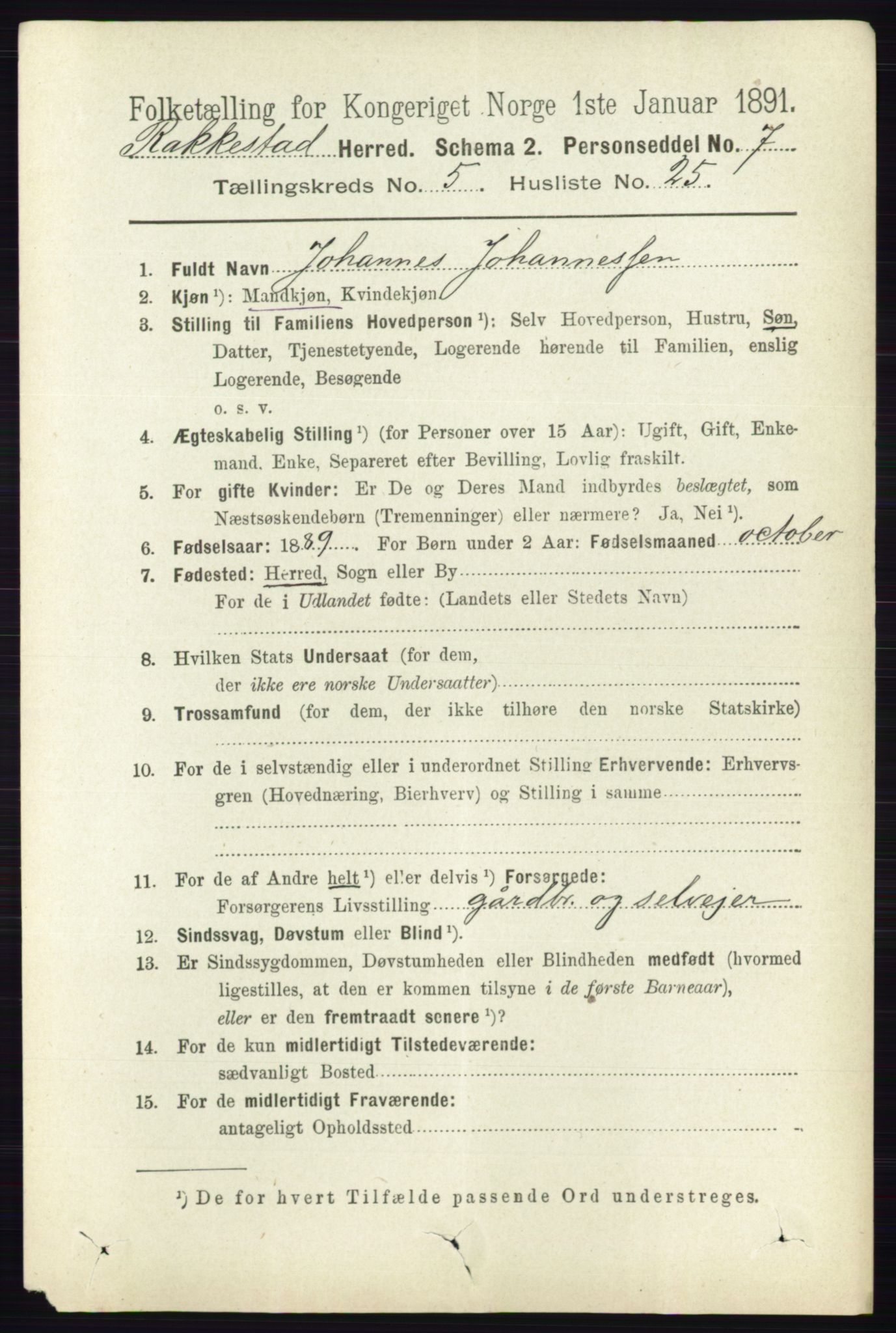 RA, 1891 census for 0128 Rakkestad, 1891, p. 2381