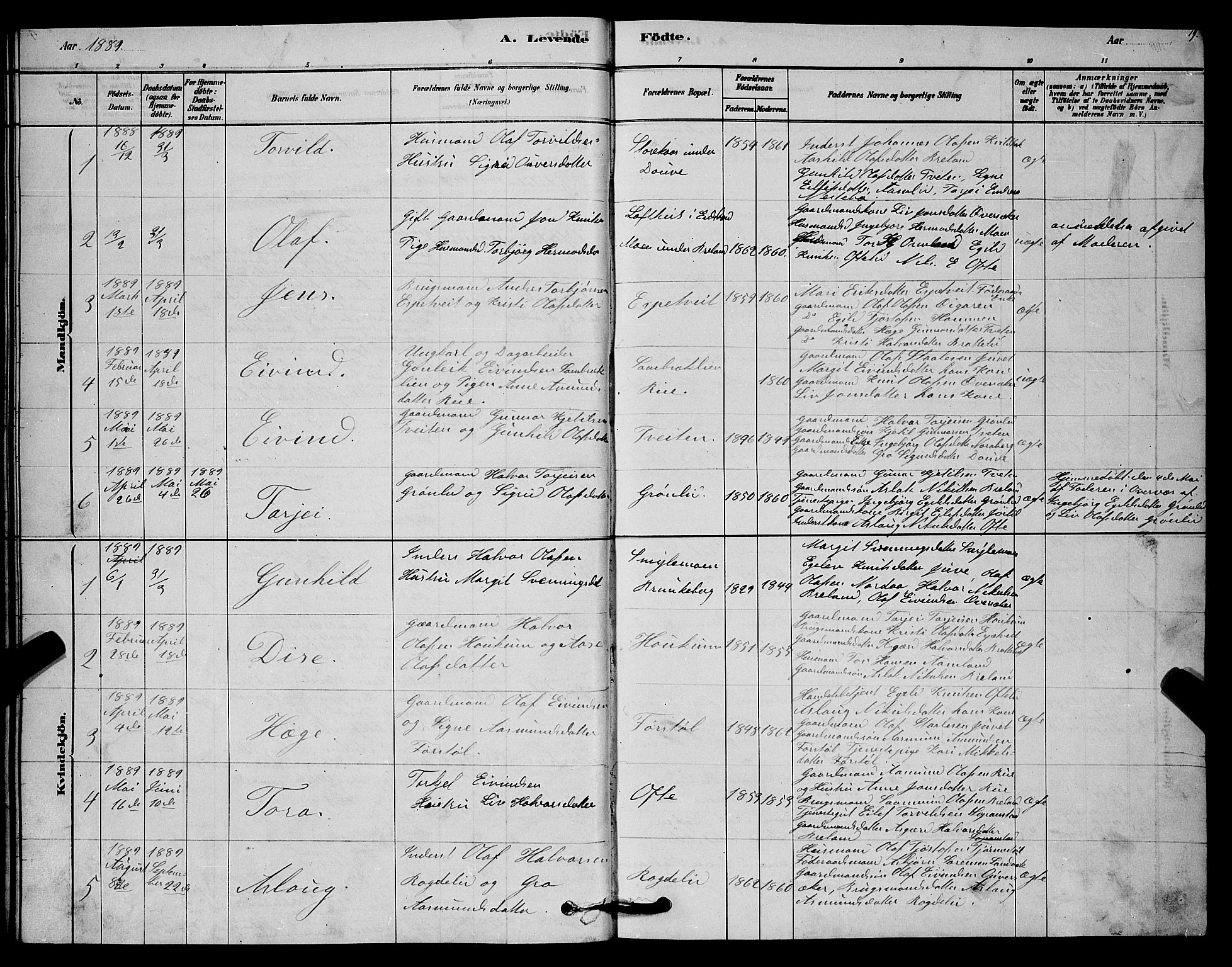 Lårdal kirkebøker, AV/SAKO-A-284/G/Gc/L0003: Parish register (copy) no. III 3, 1878-1890, p. 19