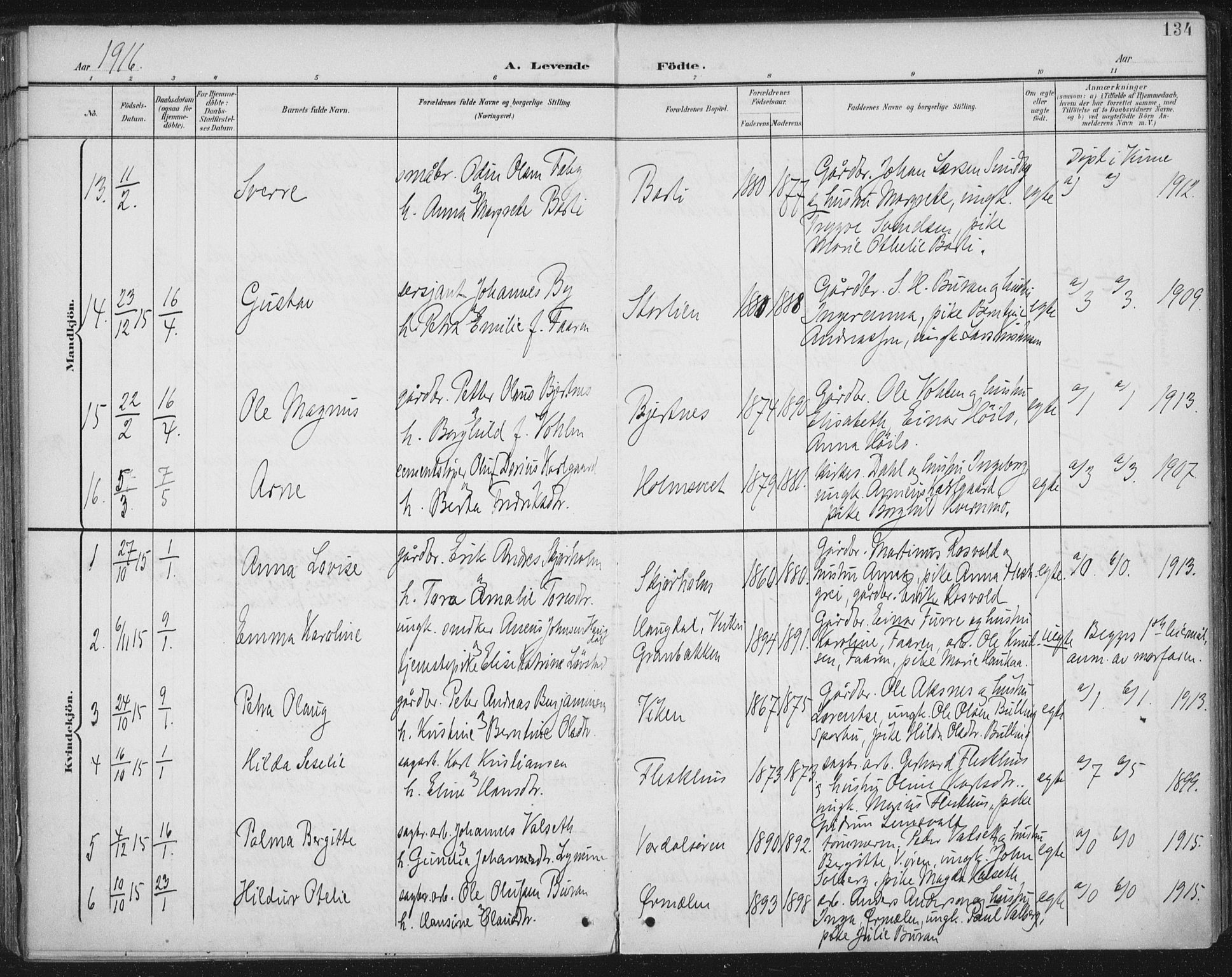 Ministerialprotokoller, klokkerbøker og fødselsregistre - Nord-Trøndelag, AV/SAT-A-1458/723/L0246: Parish register (official) no. 723A15, 1900-1917, p. 134