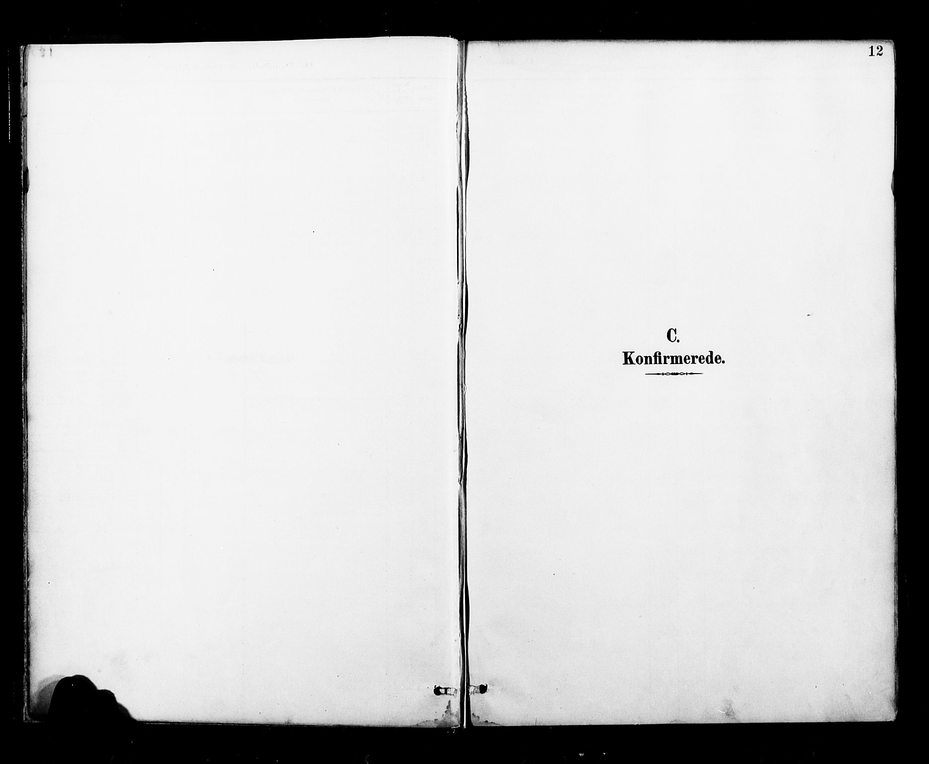 Ministerialprotokoller, klokkerbøker og fødselsregistre - Nordland, AV/SAT-A-1459/827/L0401: Parish register (official) no. 827A13, 1887-1905, p. 12