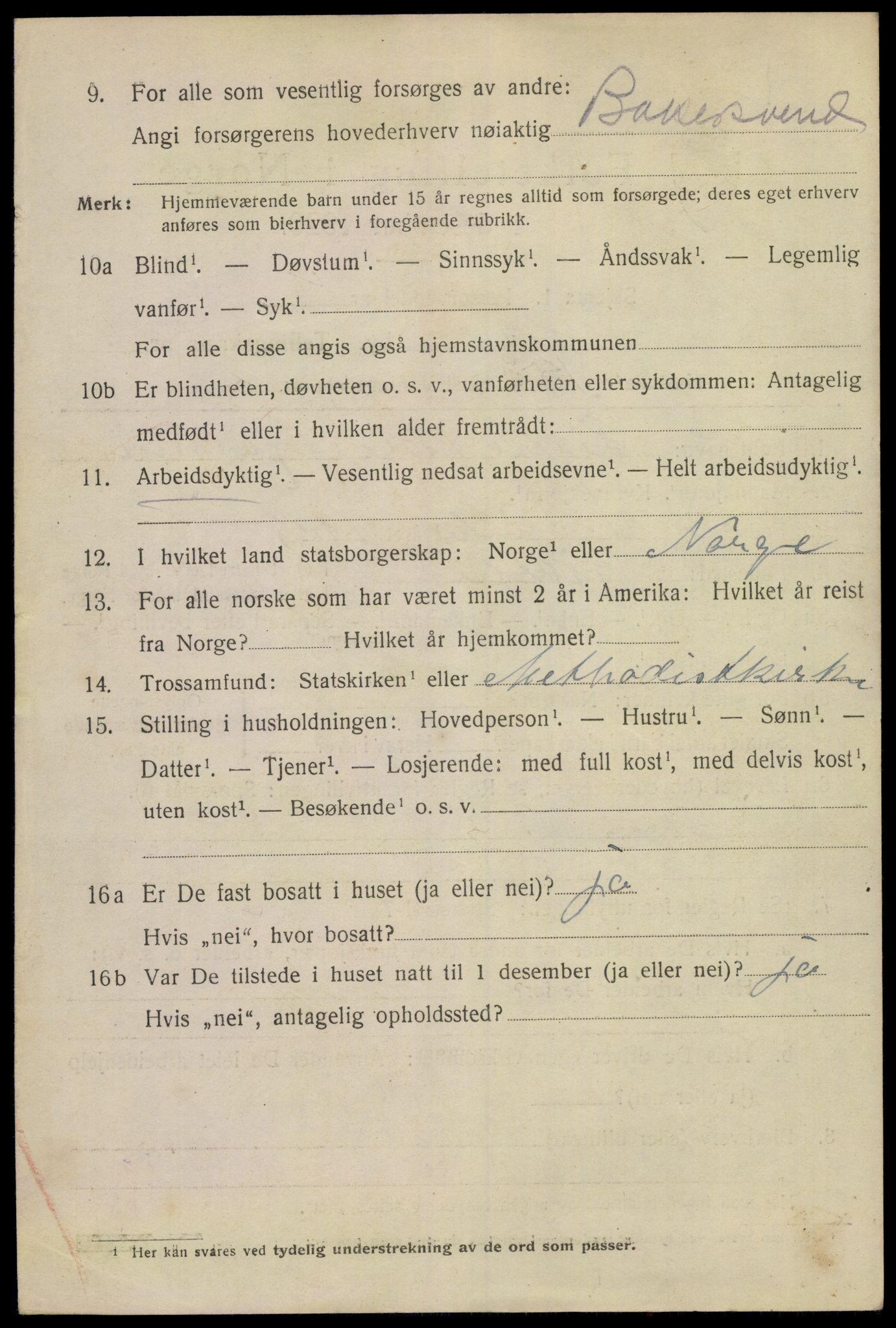 SAKO, 1920 census for Skien, 1920, p. 24795