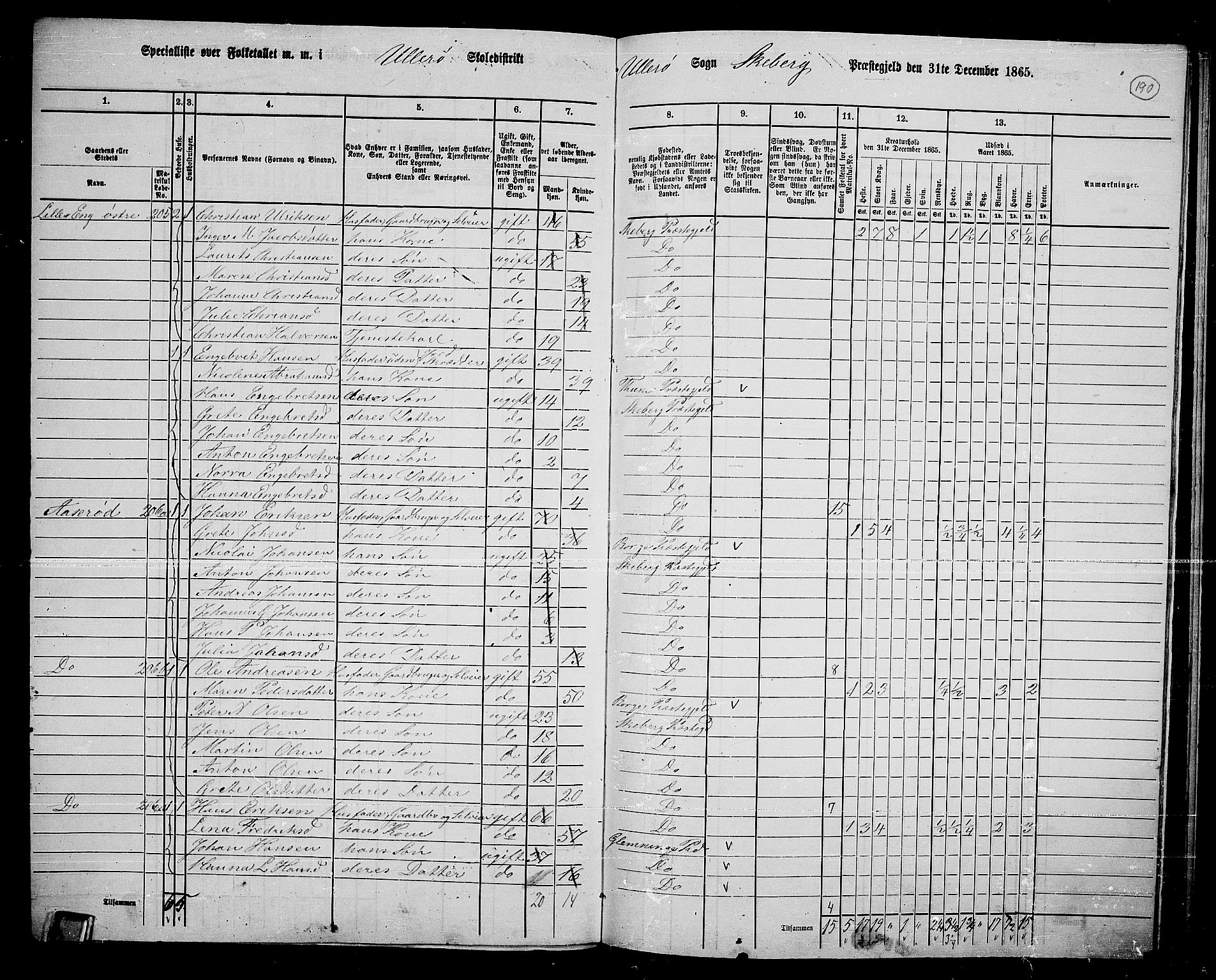 RA, 1865 census for Skjeberg, 1865, p. 173