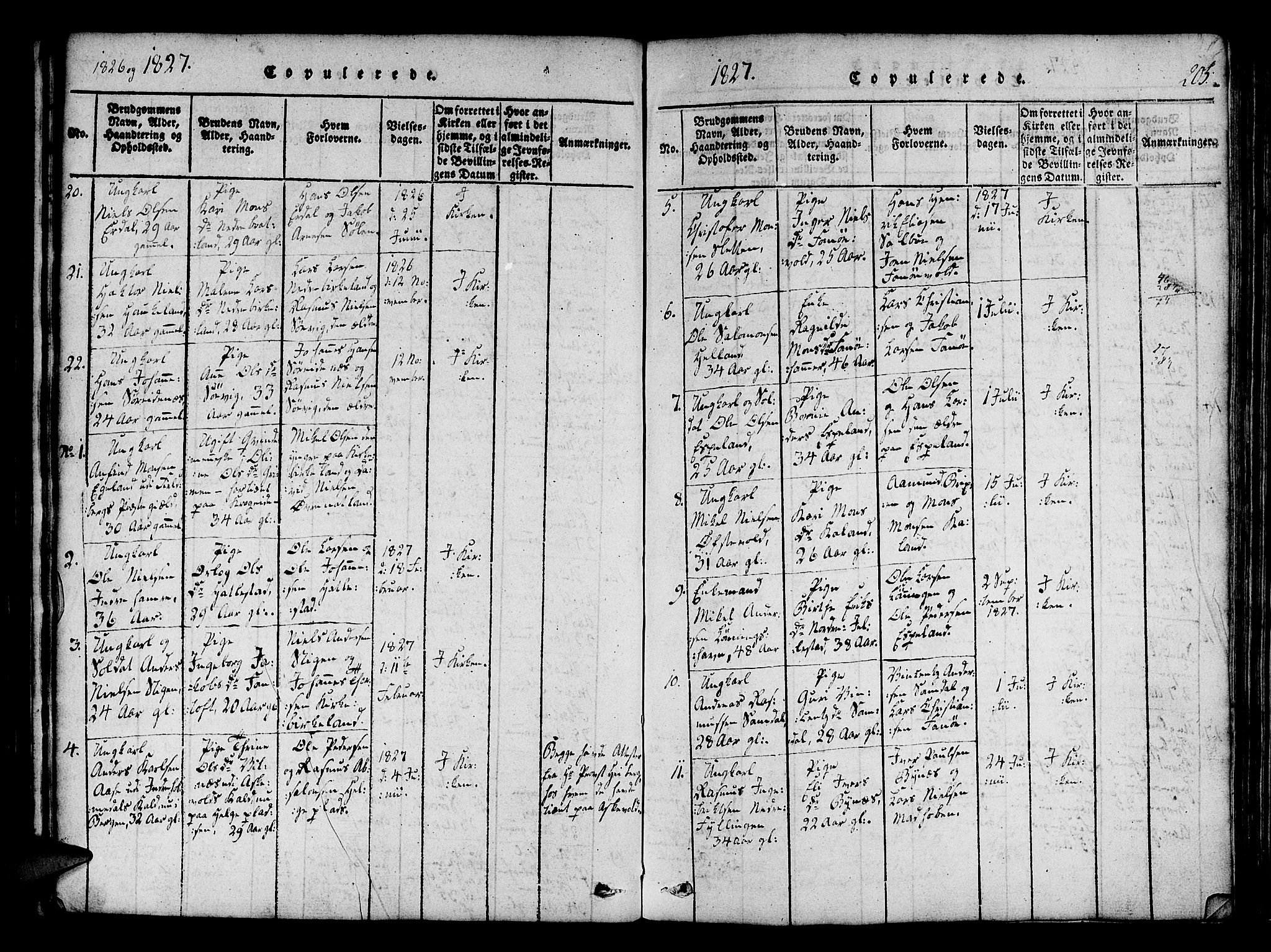 Fana Sokneprestembete, SAB/A-75101/H/Haa/Haaa/L0007: Parish register (official) no. A 7, 1816-1828, p. 205