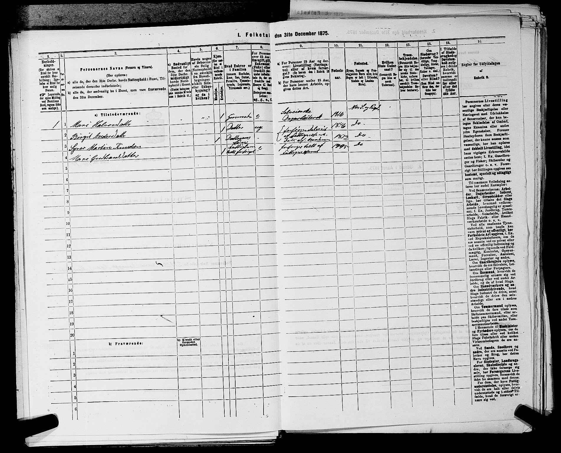 SAKO, 1875 census for 0616P Nes, 1875, p. 176