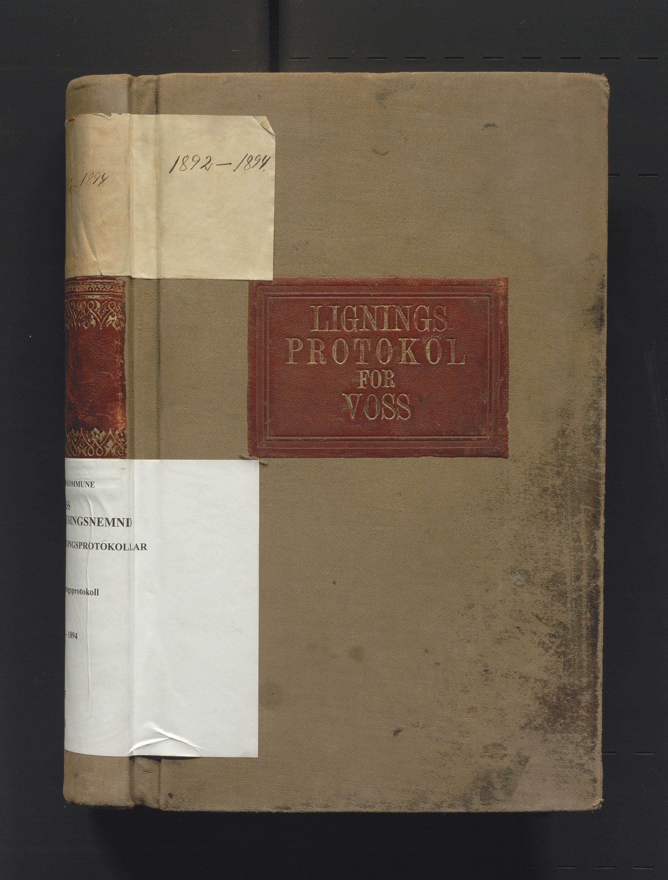 Voss kommune. Likningsnemnda, IKAH/1235-142/F/Fa/L0008: Likningsprotokoll, 1892-1894