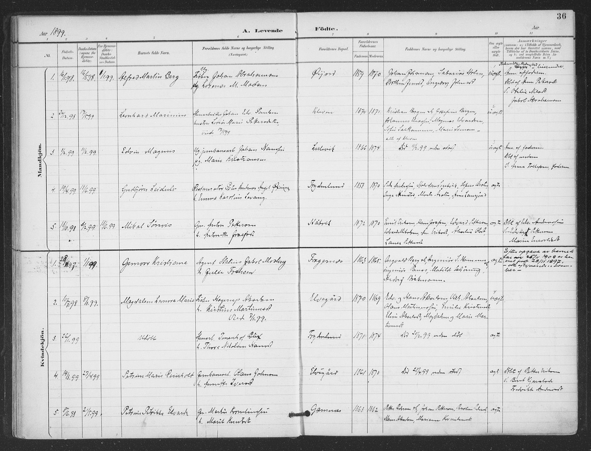 Ministerialprotokoller, klokkerbøker og fødselsregistre - Nordland, SAT/A-1459/866/L0939: Parish register (official) no. 866A02, 1894-1906, p. 36