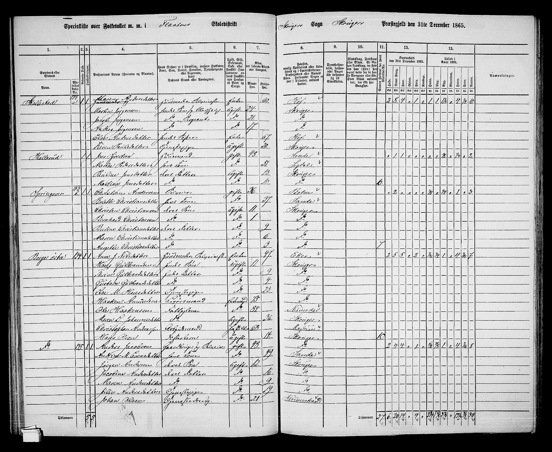 RA, 1865 census for Skoger, 1865, p. 83