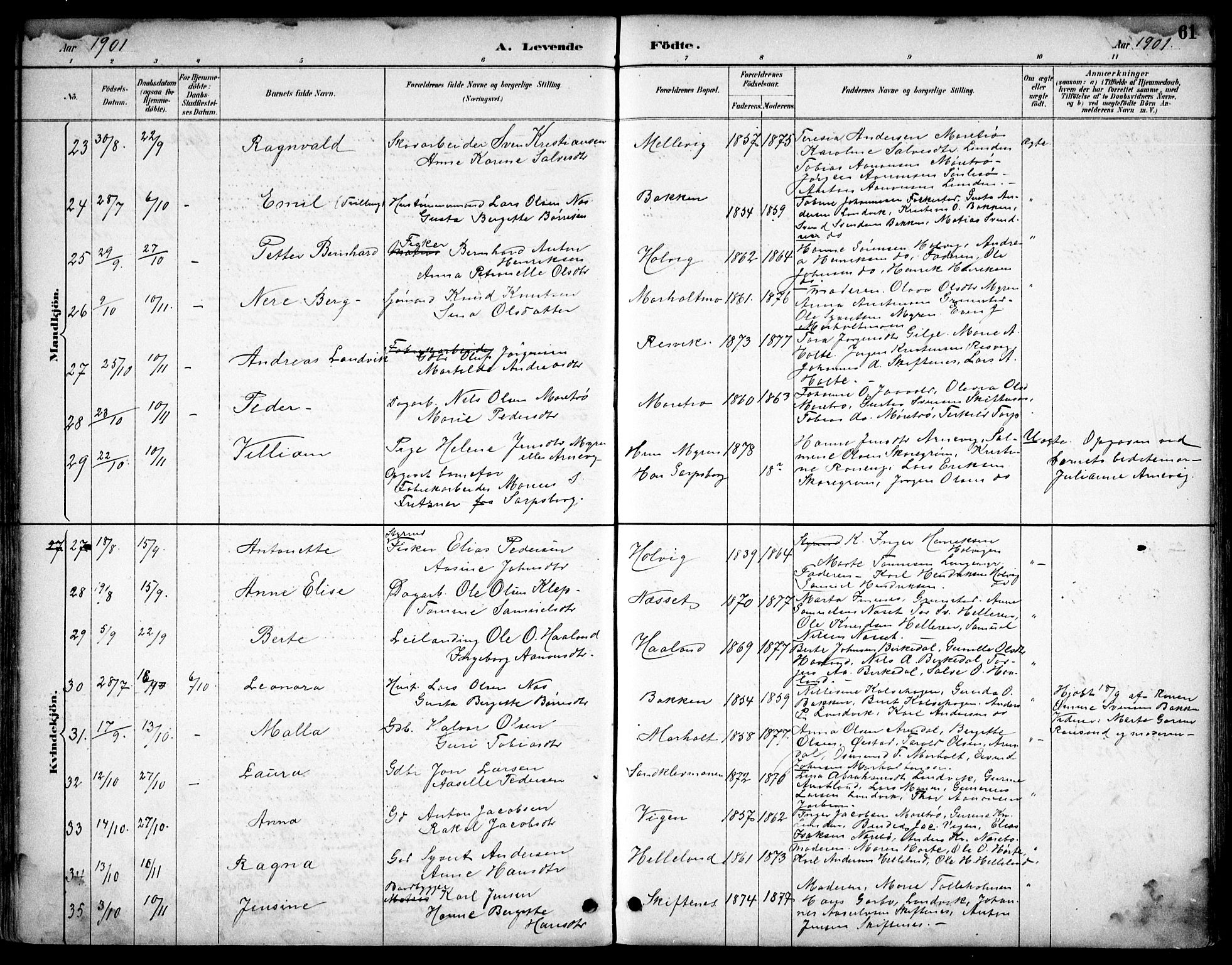 Hommedal sokneprestkontor, SAK/1111-0023/F/Fb/Fbb/L0007: Parish register (copy) no. B 7, 1885-1904, p. 61