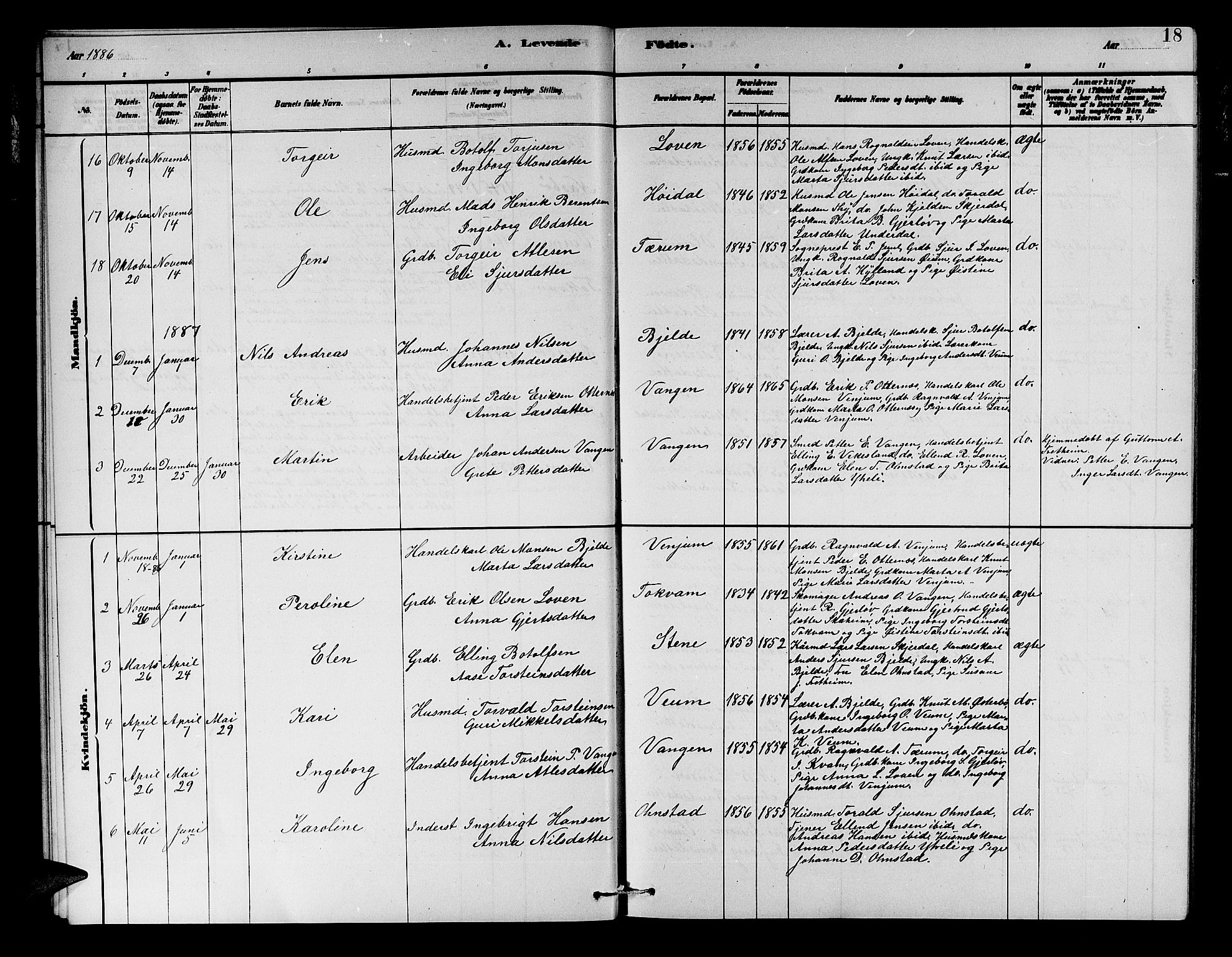 Aurland sokneprestembete, AV/SAB-A-99937/H/Hb/Hba/L0002: Parish register (copy) no. A 2, 1880-1895, p. 18